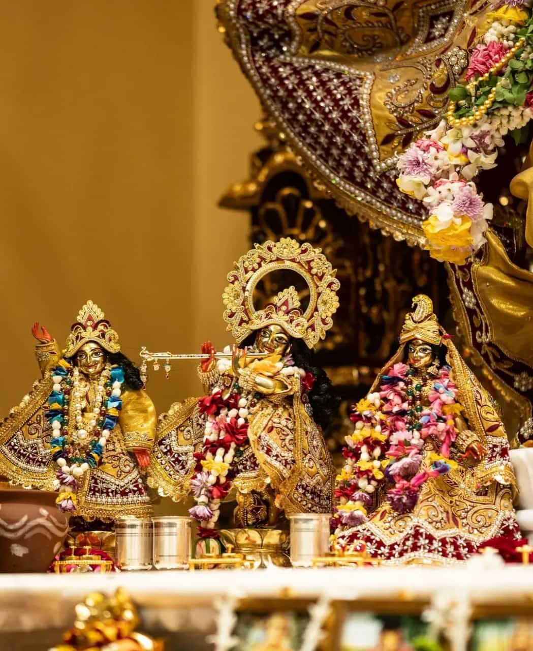 68b7e415-51c3-444f-a692-5f6f84df12ff