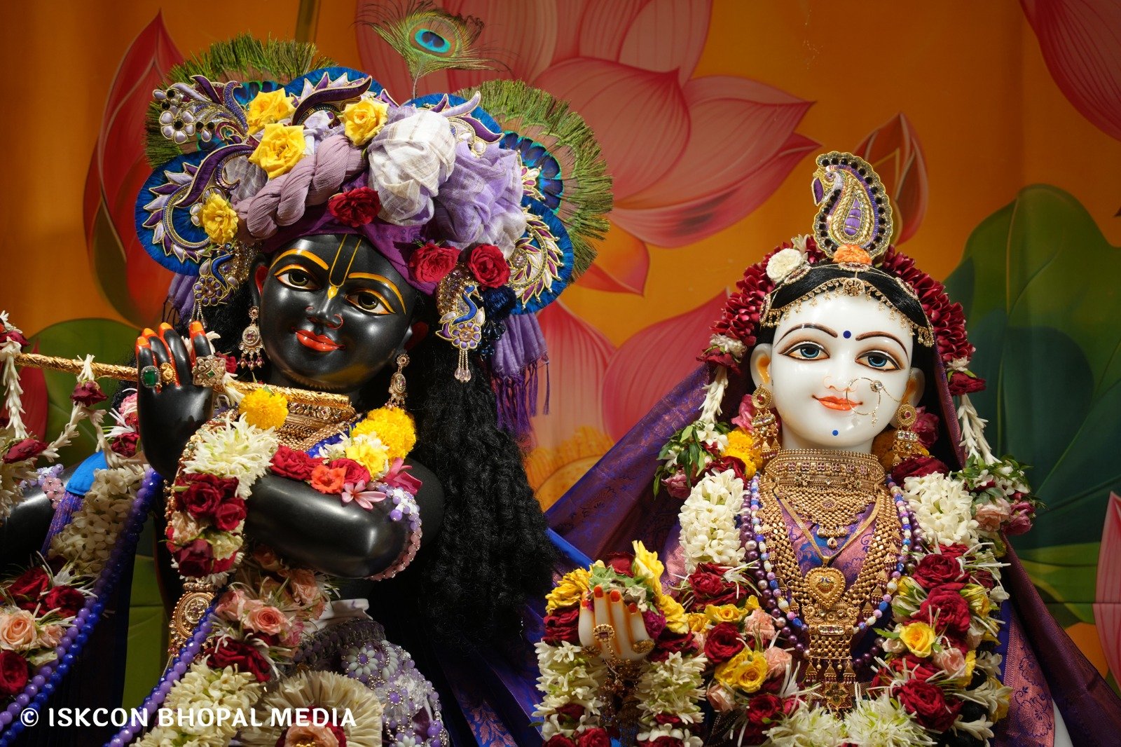 WhatsApp Image 2025-06-15 at 15.45.54 (1)