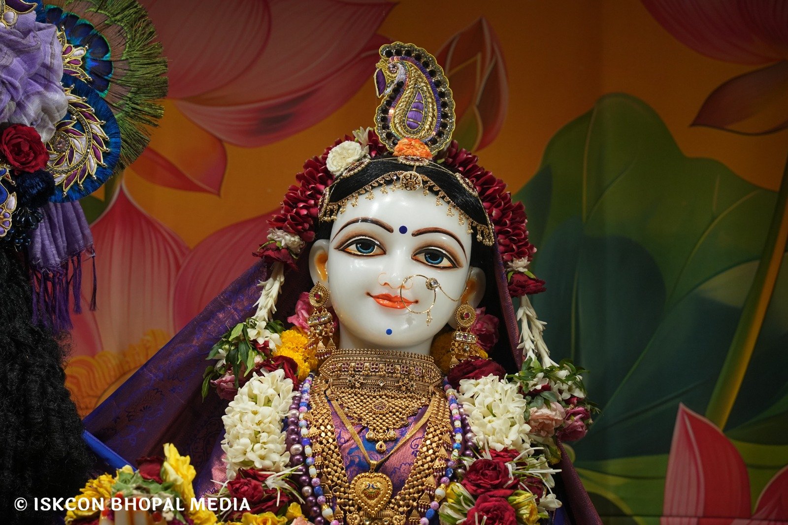 WhatsApp Image 2025-06-15 at 15.45.54