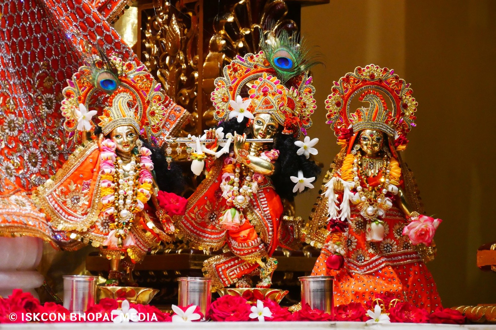 WhatsApp Image 2025-07-14 at 11.11.25 AM (2)