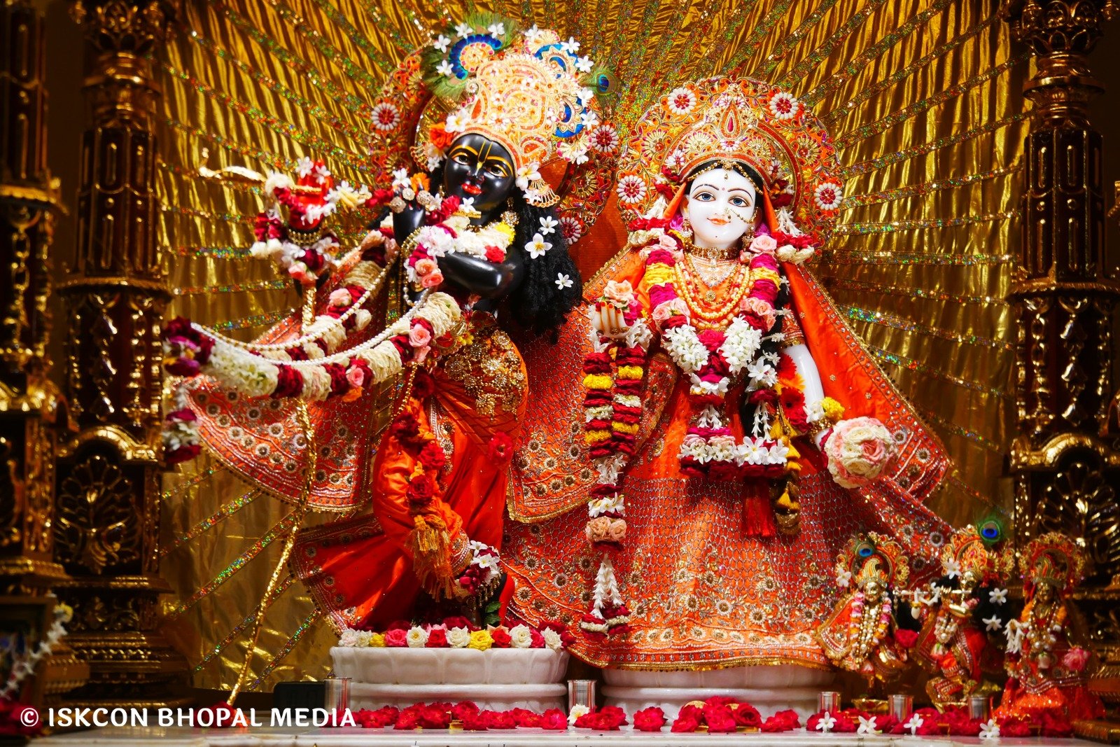 WhatsApp Image 2025-07-14 at 11.11.25 AM
