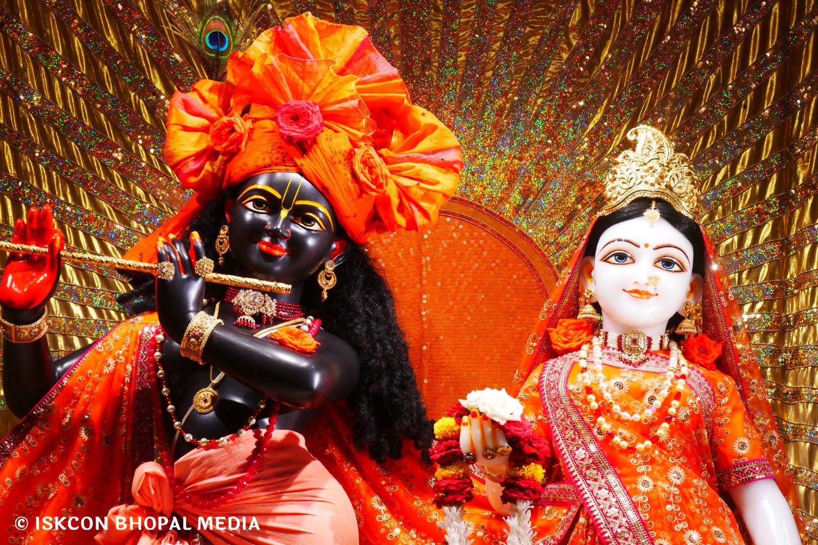 WhatsApp Image 2025-07-15 at 4.56.44 AM (2)