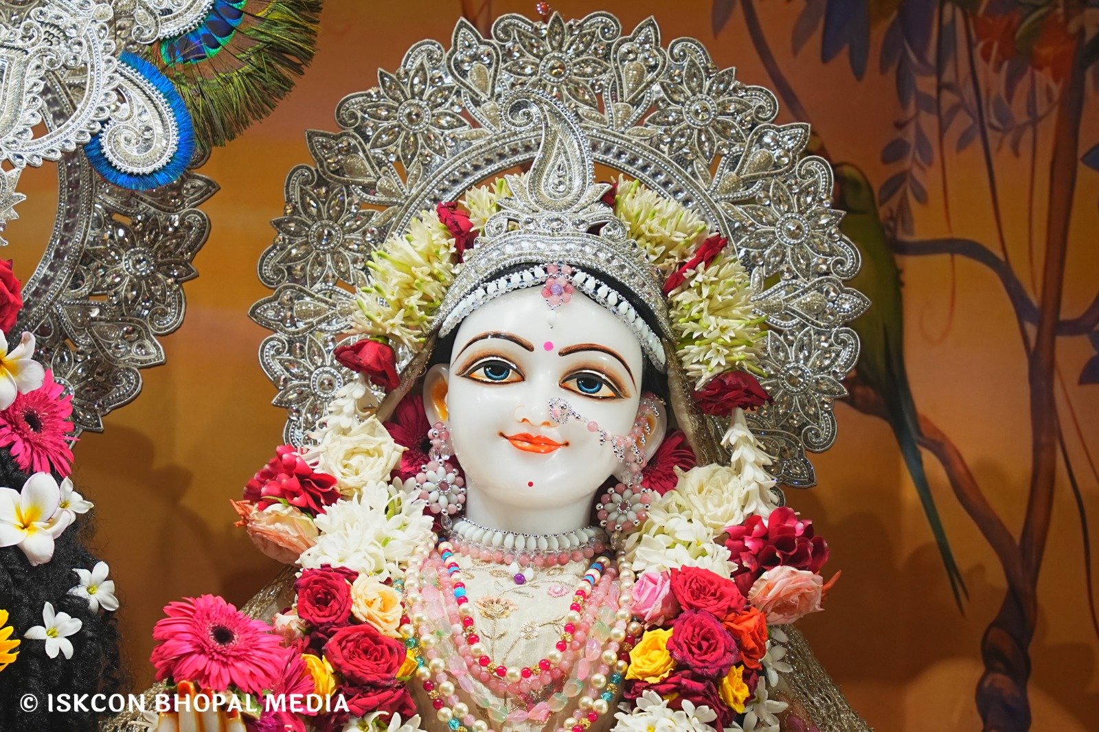 WhatsApp Image 2025-07-30 at 11.30.32 AM