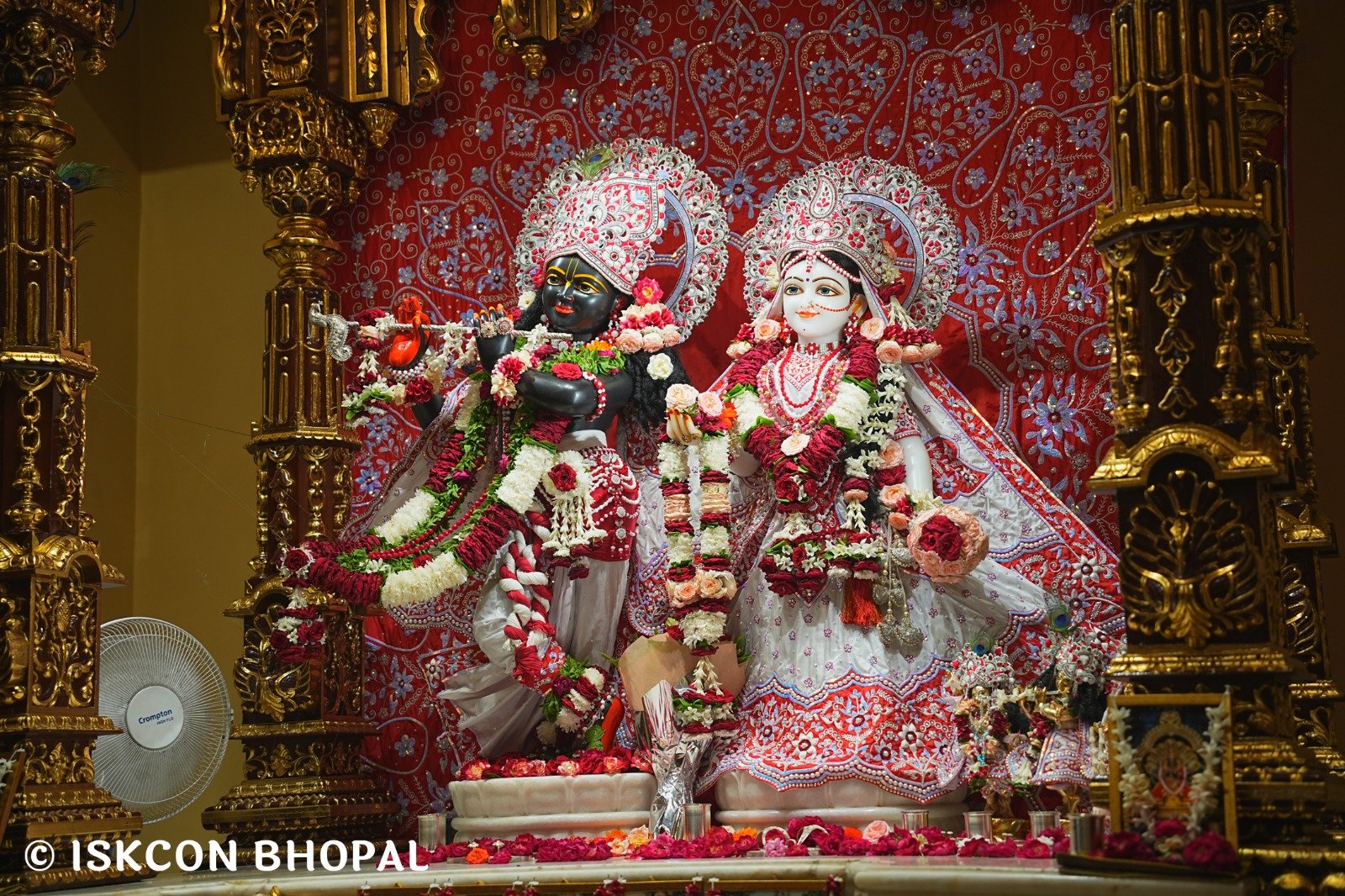 WhatsApp Image 2025-08-05 at 10.27.20 AM (1)