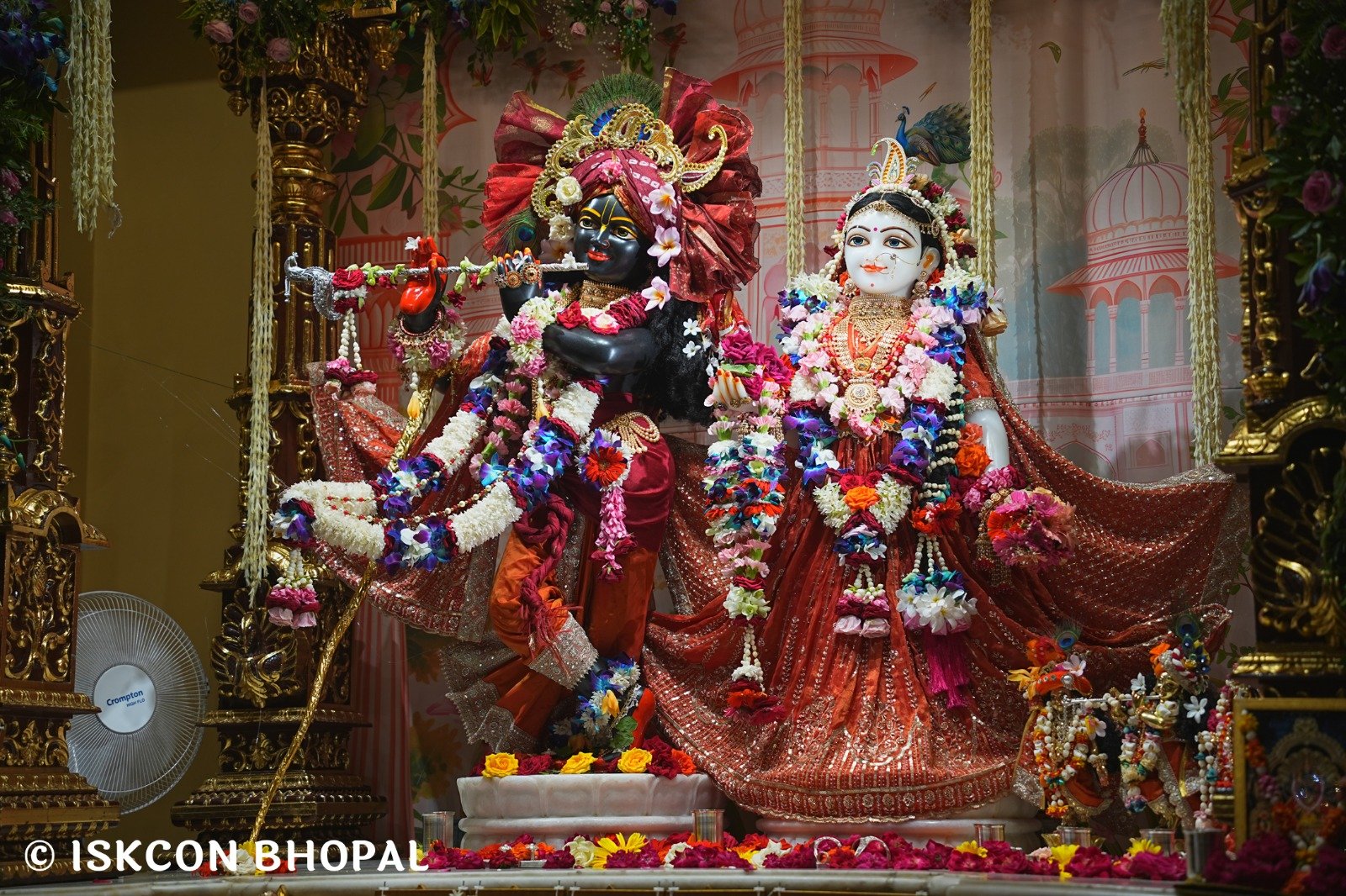 WhatsApp Image 2025-08-10 at 6.40.16 PM (2)