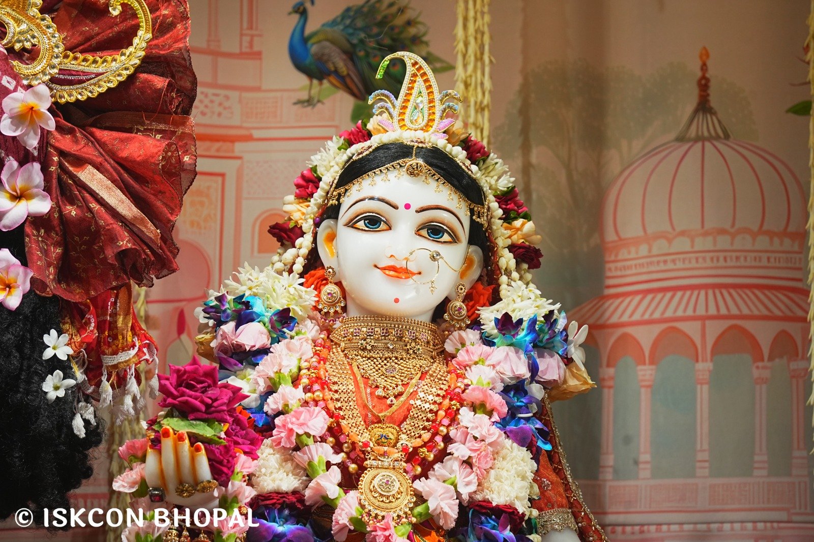 WhatsApp Image 2025-08-10 at 6.40.18 PM (2)
