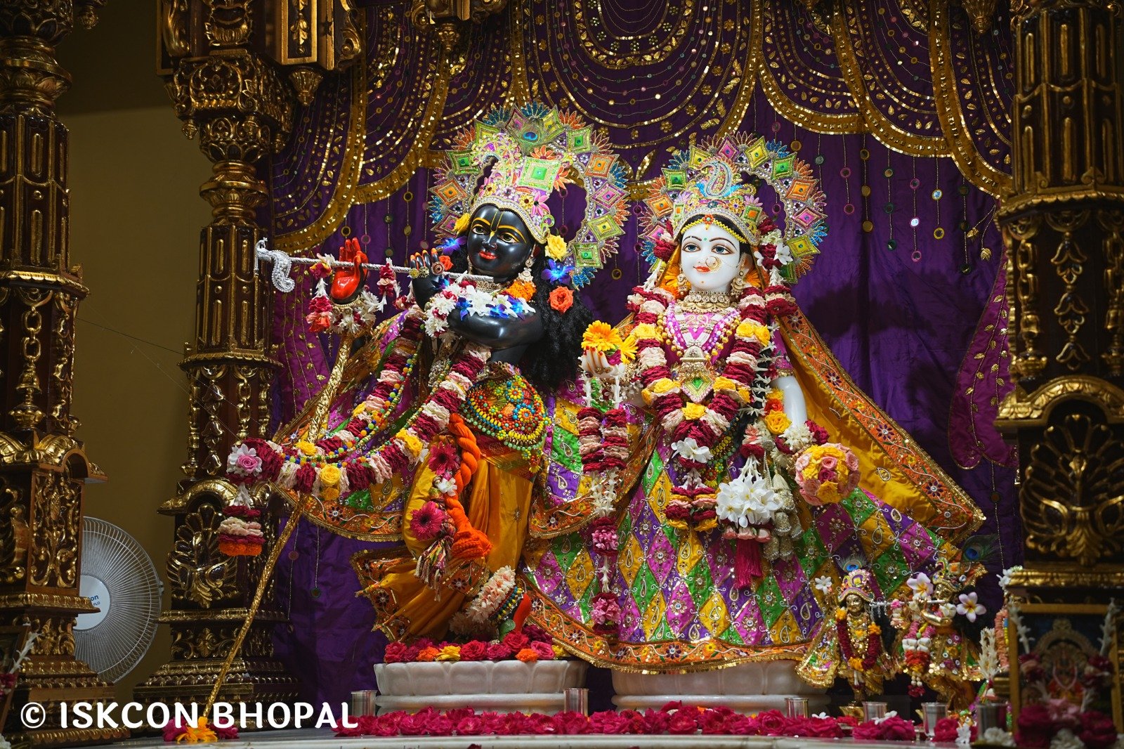 WhatsApp Image 2025-08-12 at 9.14.27 AM (2)