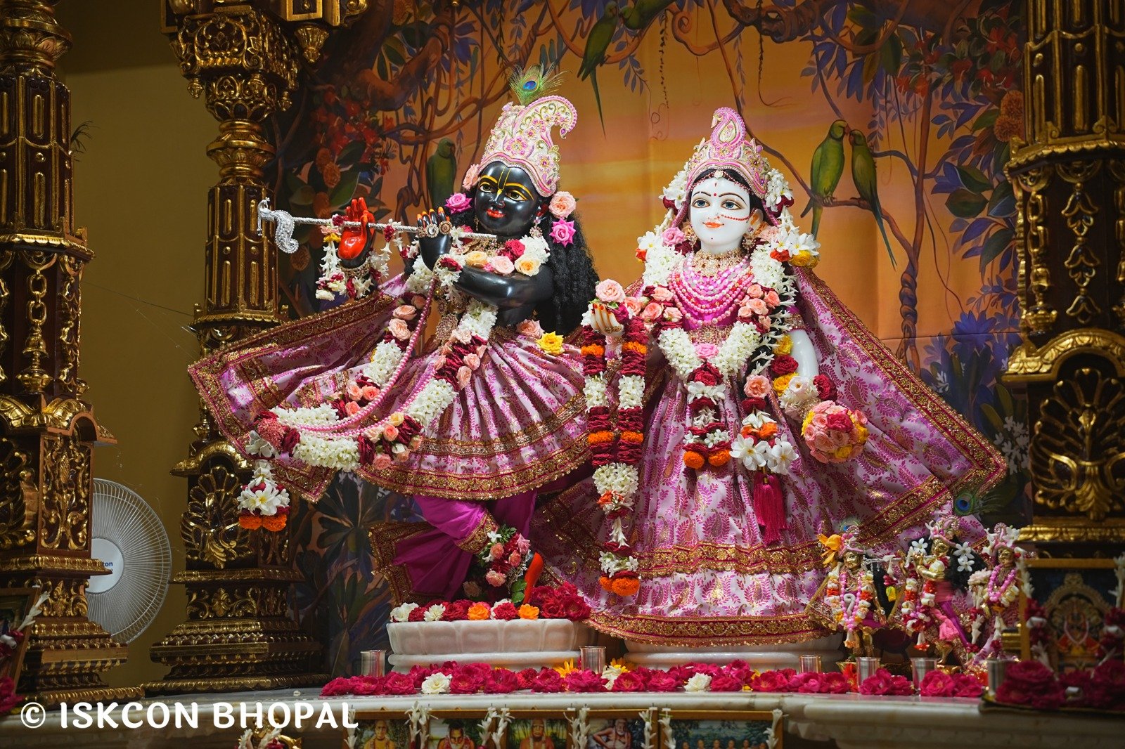 WhatsApp Image 2025-08-14 at 7.50.17 AM (1)