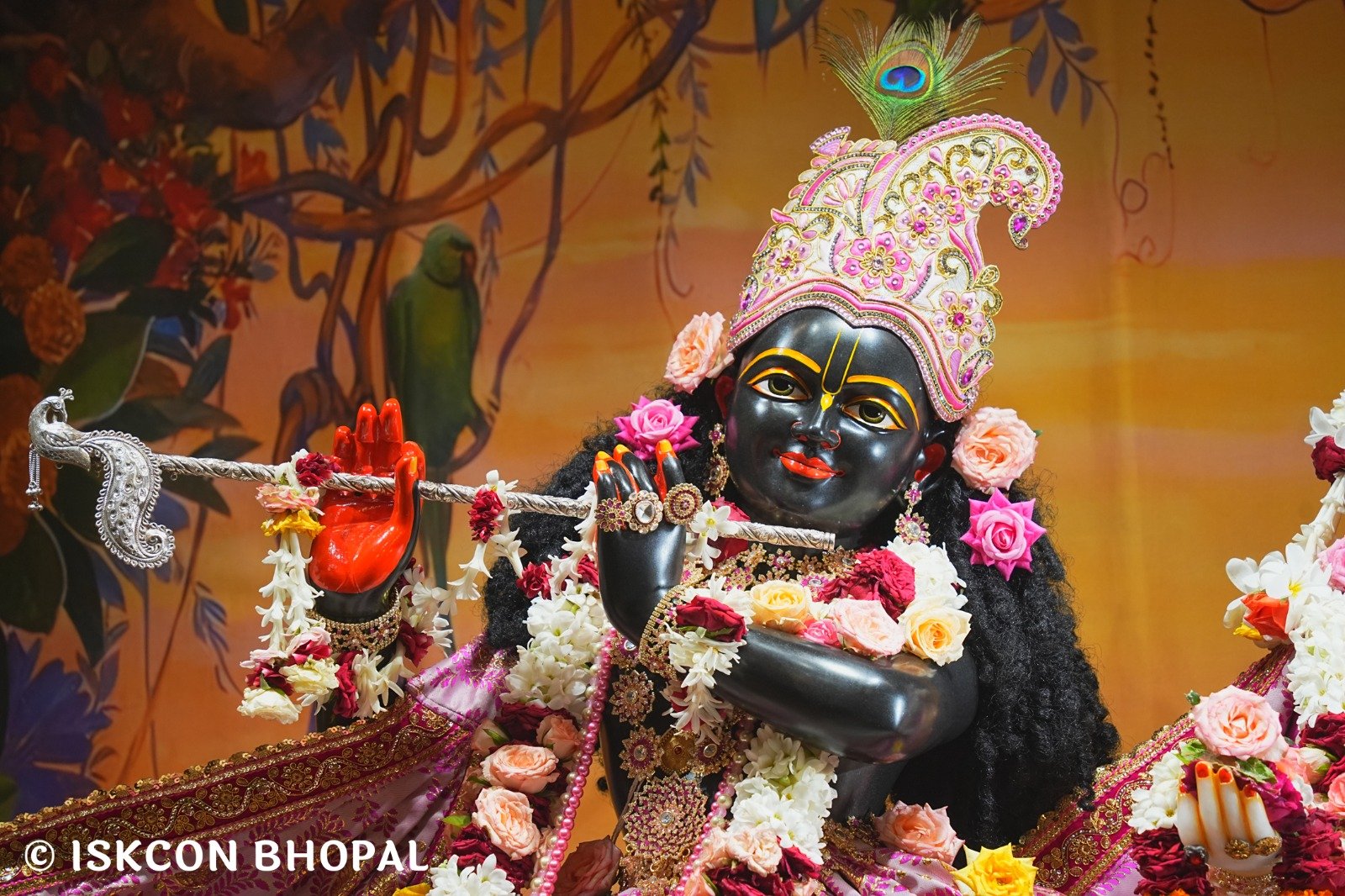 WhatsApp Image 2025-08-14 at 7.50.18 AM (2)