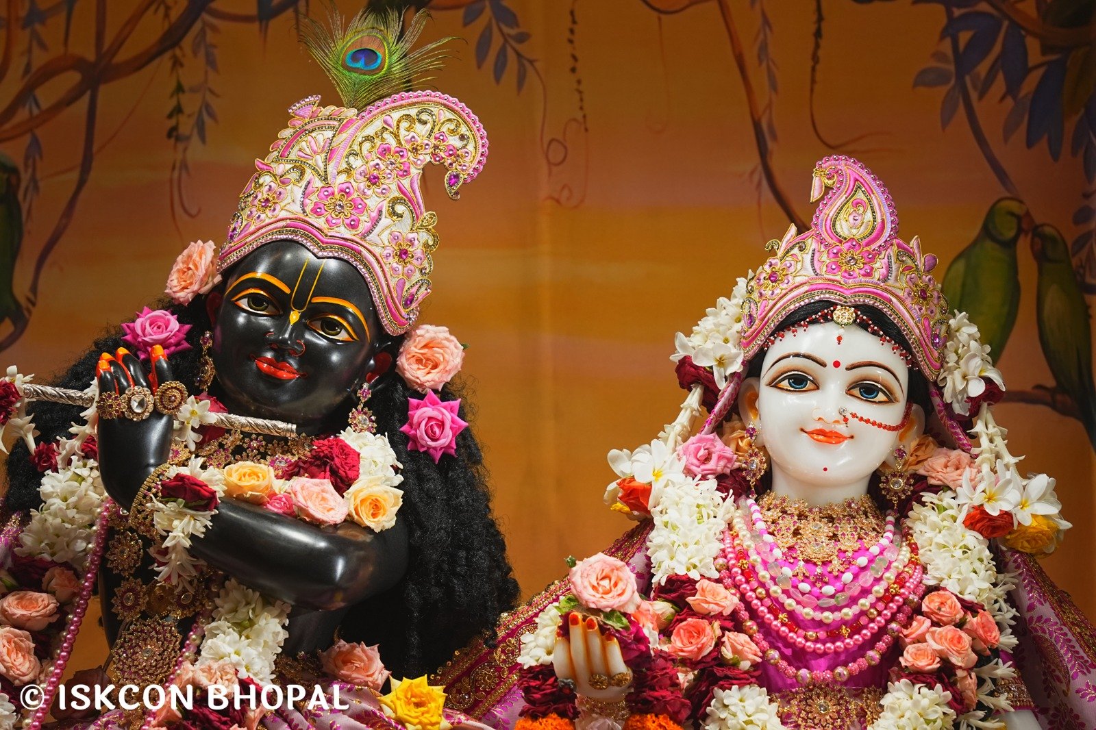 WhatsApp Image 2025-08-14 at 7.50.19 AM (1)