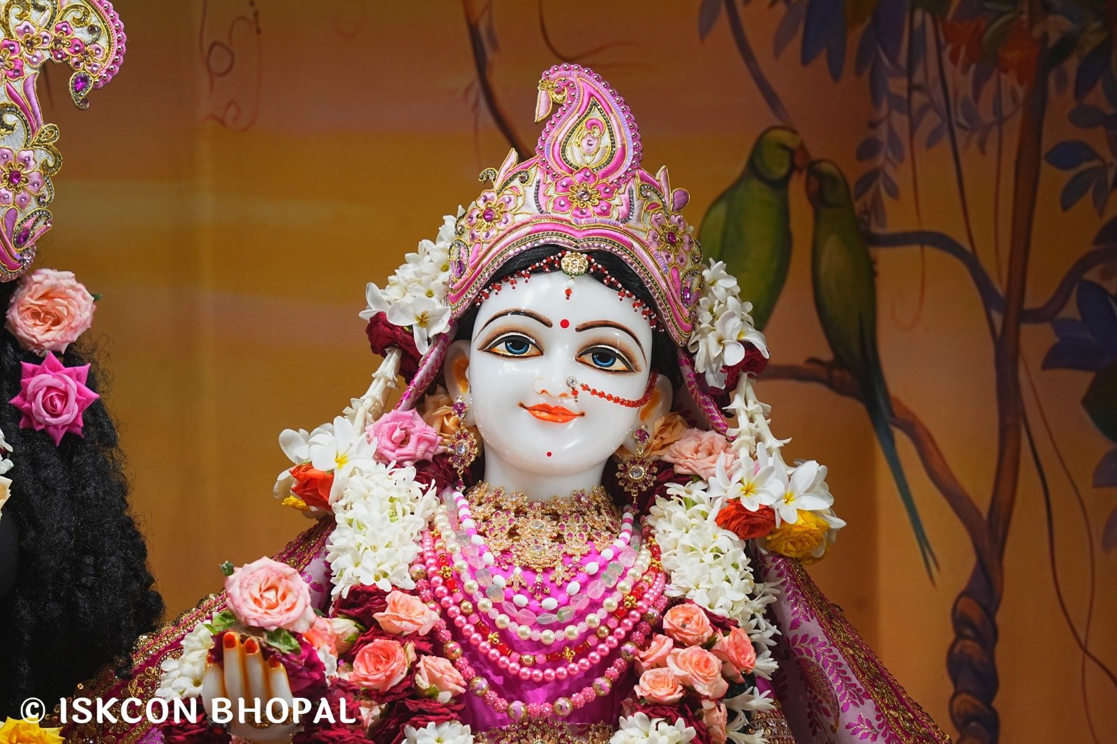 WhatsApp Image 2025-08-14 at 7.50.19 AM (2)