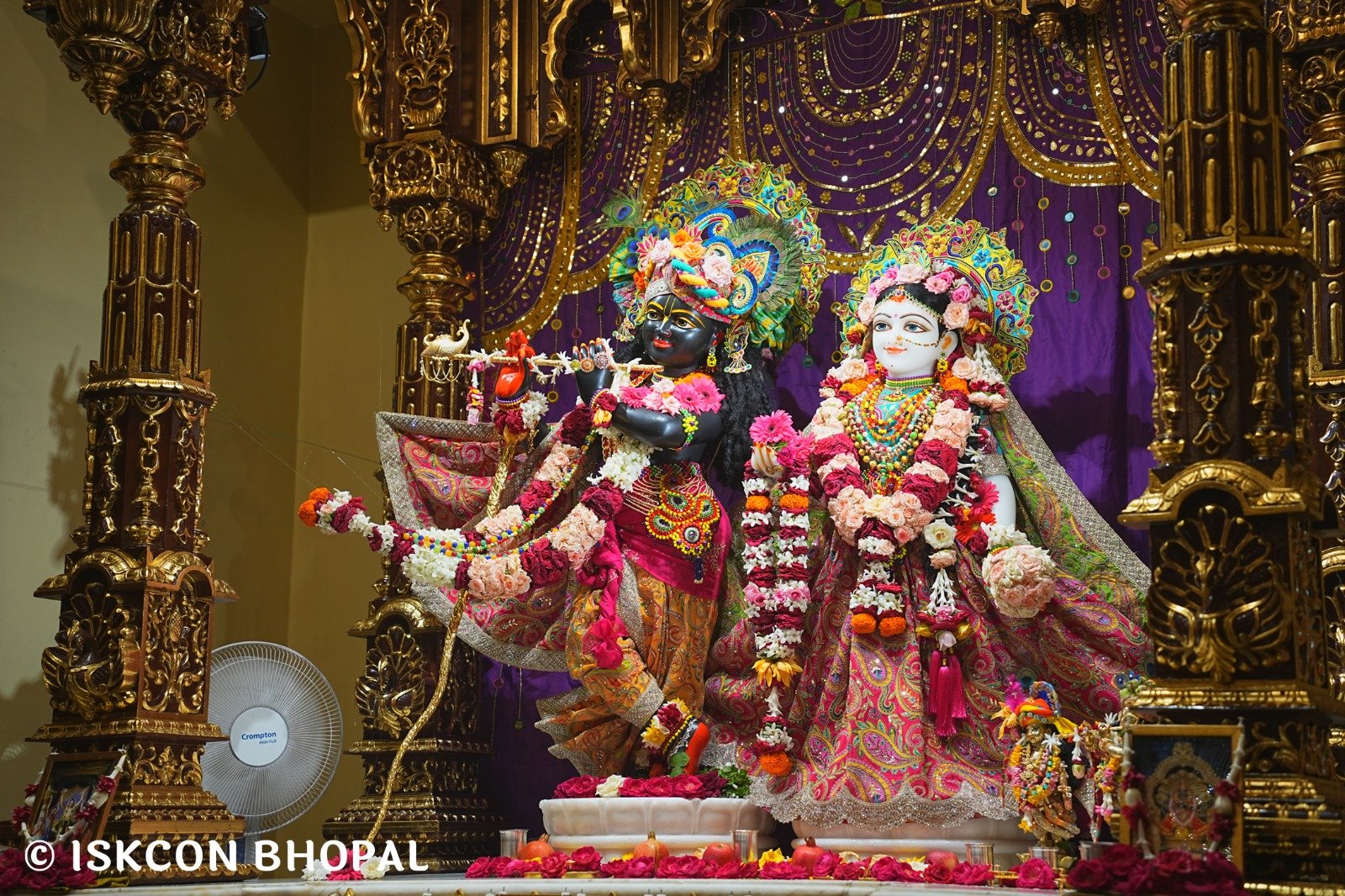 WhatsApp Image 2025-08-15 at 8.16.29 AM (2)