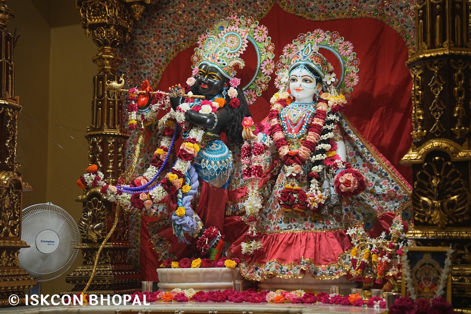 WhatsApp Image 2025-08-22 at 8.00.55 AM (1)