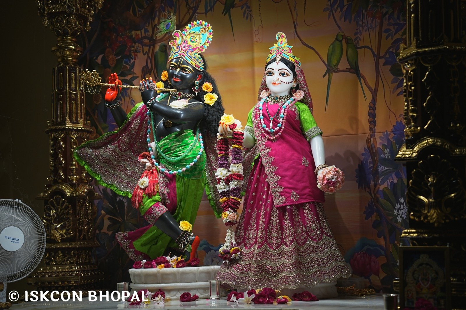 WhatsApp Image 2025-08-28 at 6.35.54 AM (4)
