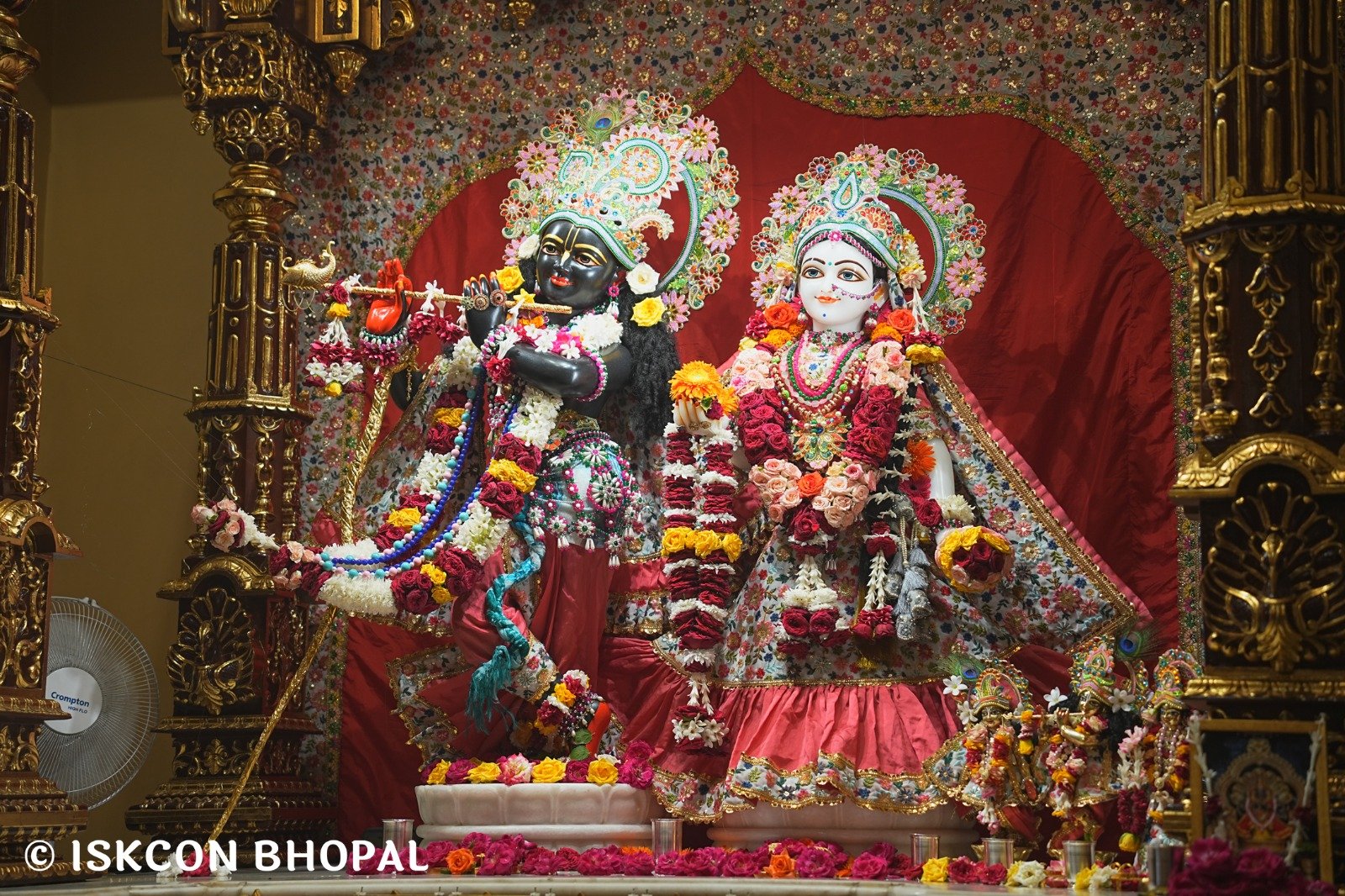 WhatsApp Image 2025-08-29 at 8.26.57 AM (3)