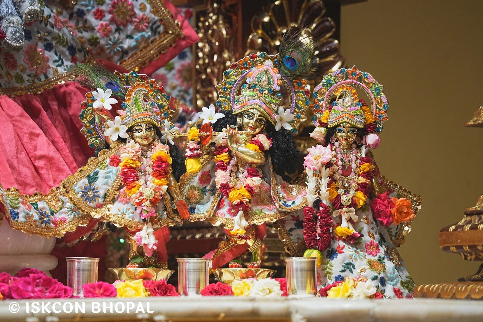 WhatsApp Image 2025-08-29 at 8.26.58 AM (2)