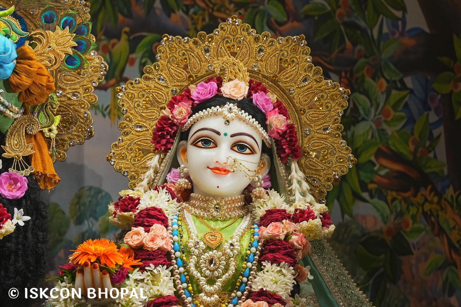 WhatsApp Image 2025-09-05 at 7.35.18 PM (4)
