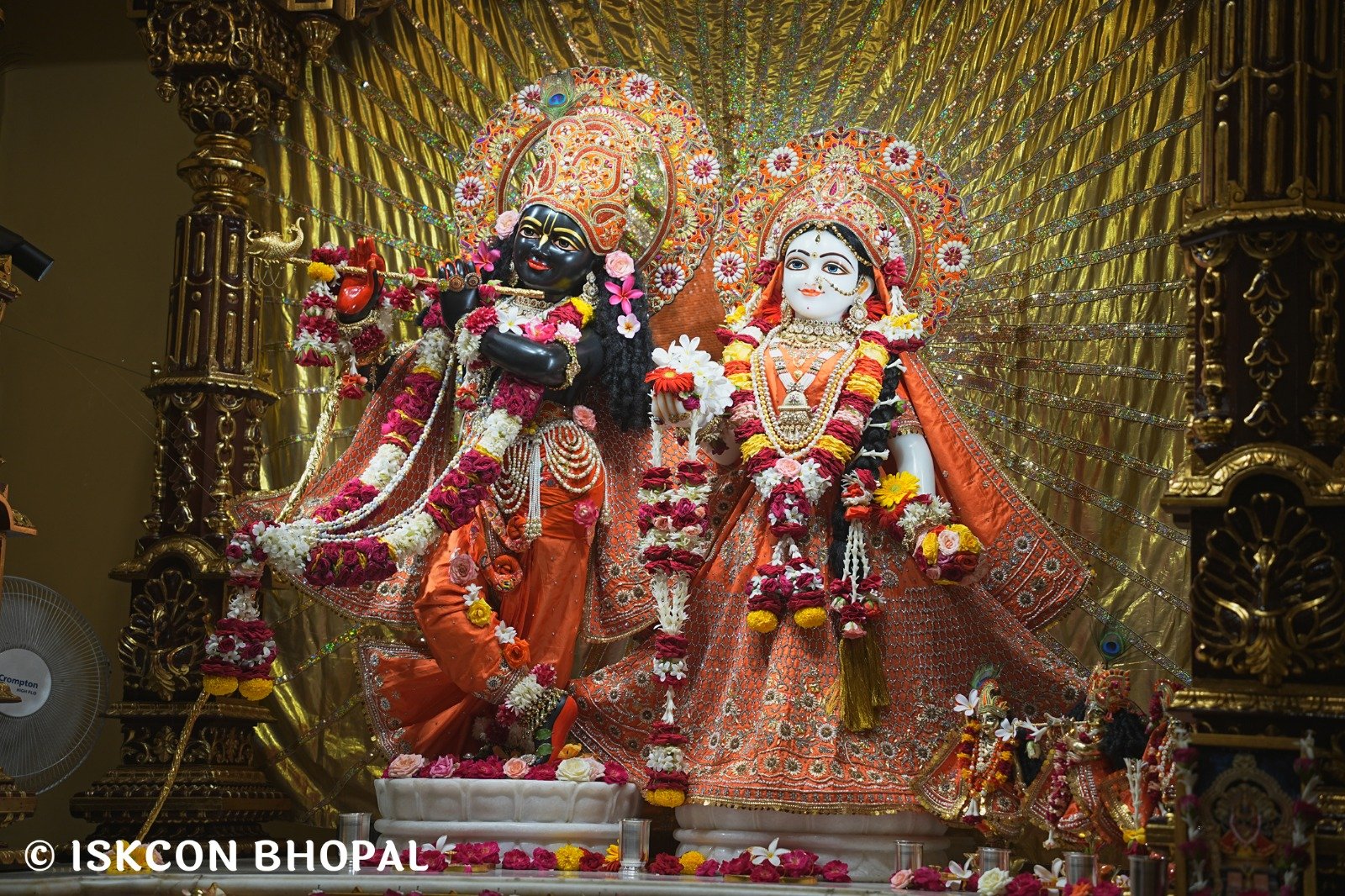 WhatsApp Image 2025-09-29 at 7.48.48 AM (1)