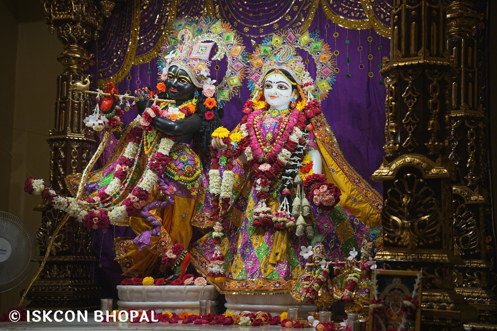 WhatsApp Image 2025-09-30 at 8.00.59 AM (2)
