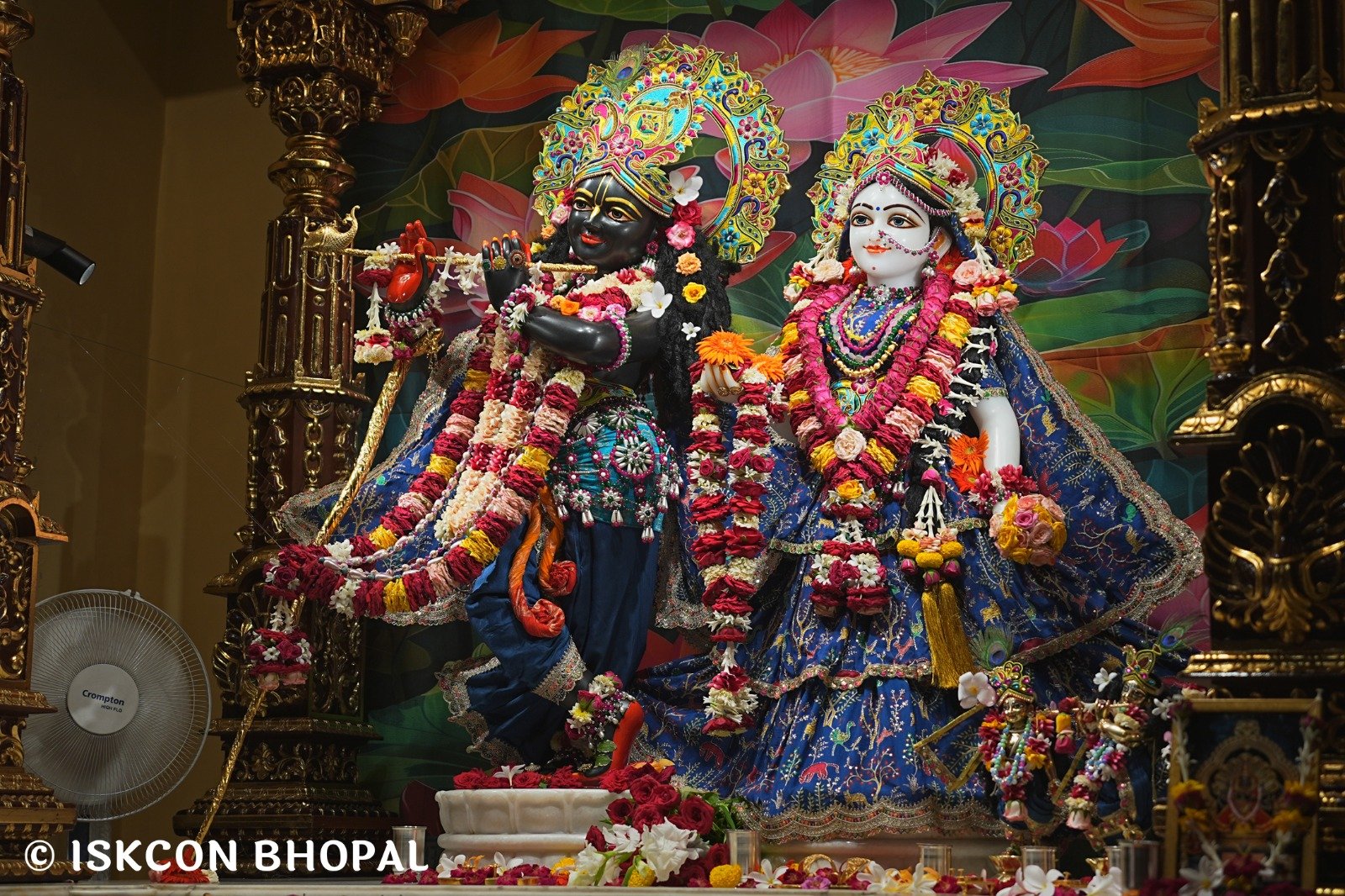 WhatsApp Image 2025-10-01 at 12.51.50 PM (1)