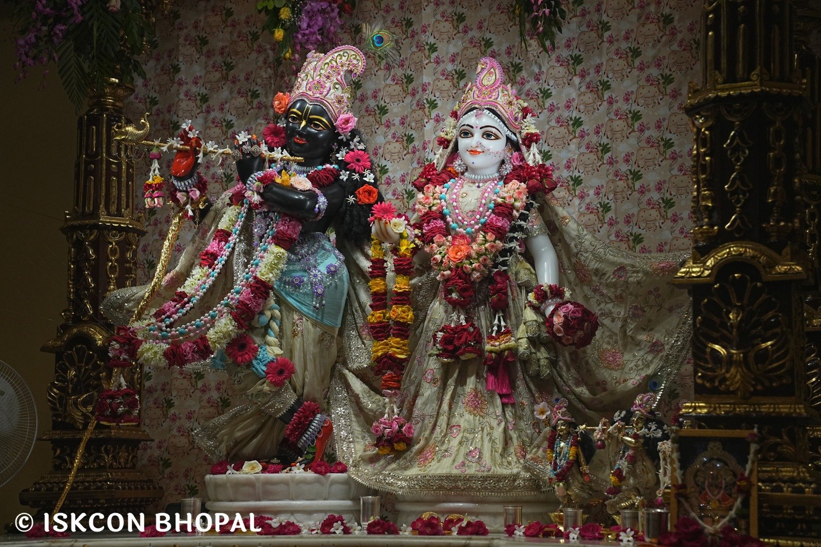 WhatsApp Image 2025-10-04 at 7.51.20 AM (4)