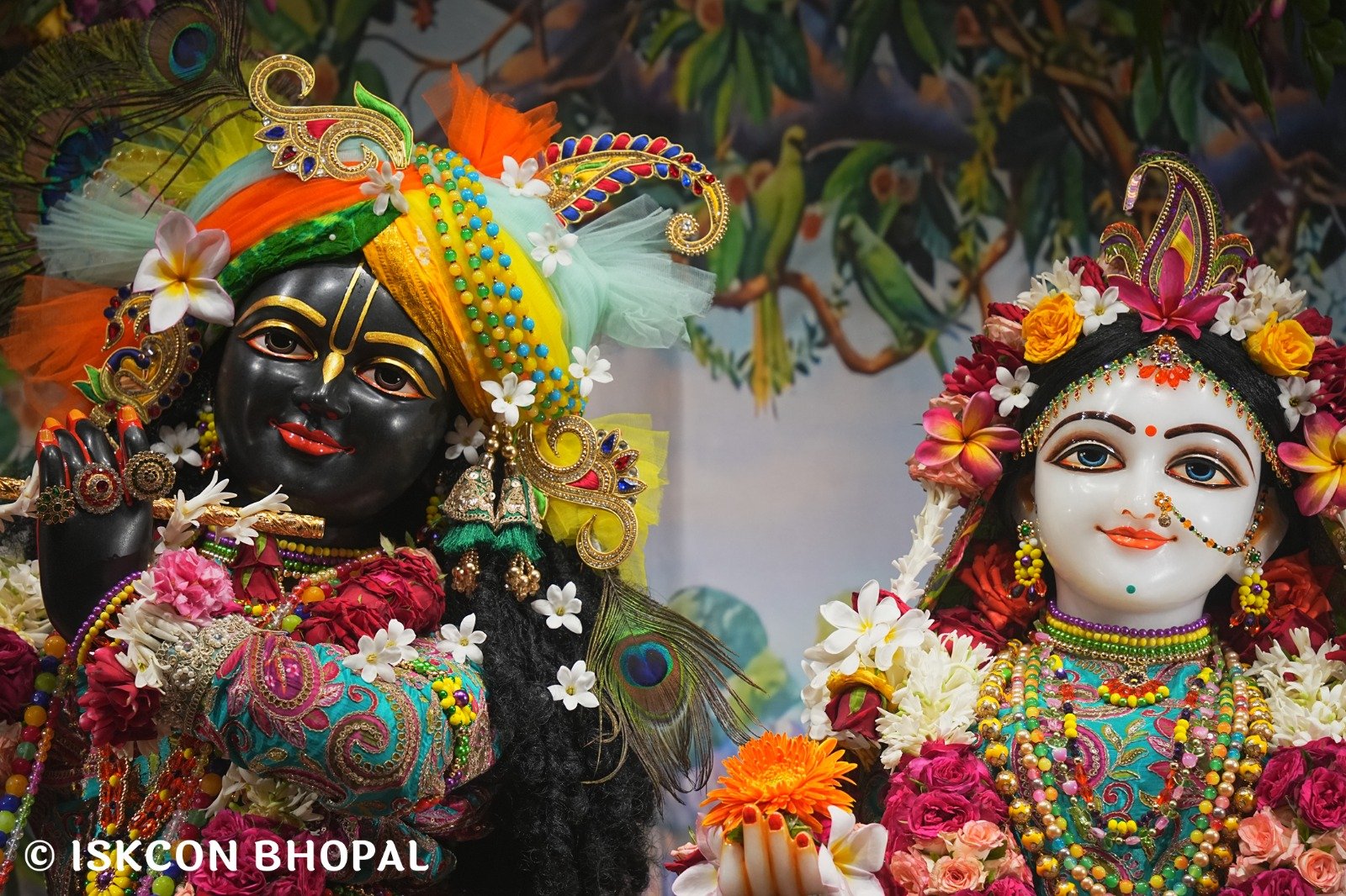 WhatsApp Image 2025-10-05 at 11.51.58 AM