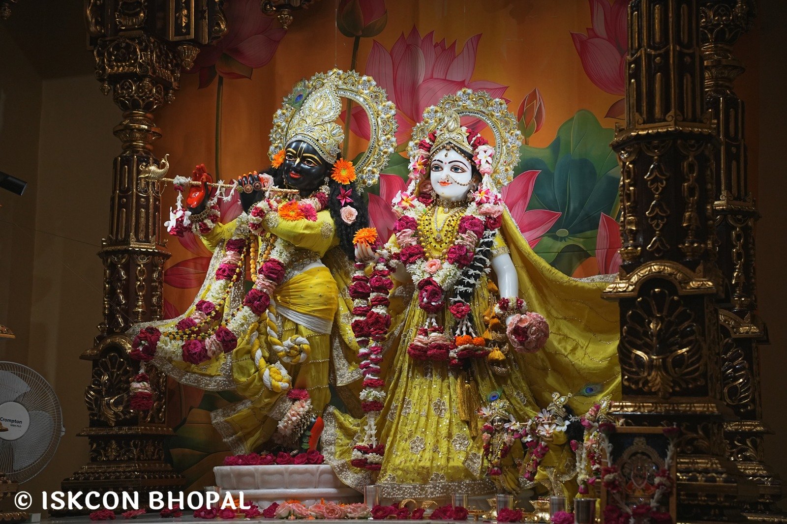 WhatsApp Image 2025-10-10 at 7.52.16 AM (1)