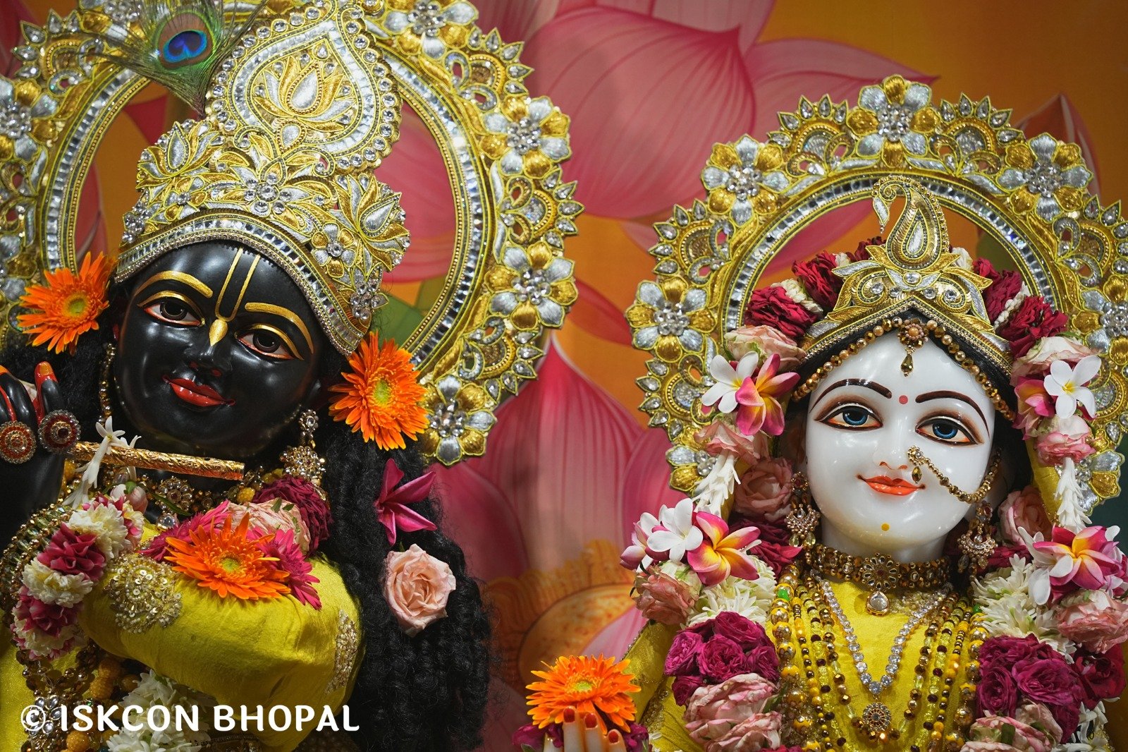 WhatsApp Image 2025-10-10 at 7.52.16 AM (2)