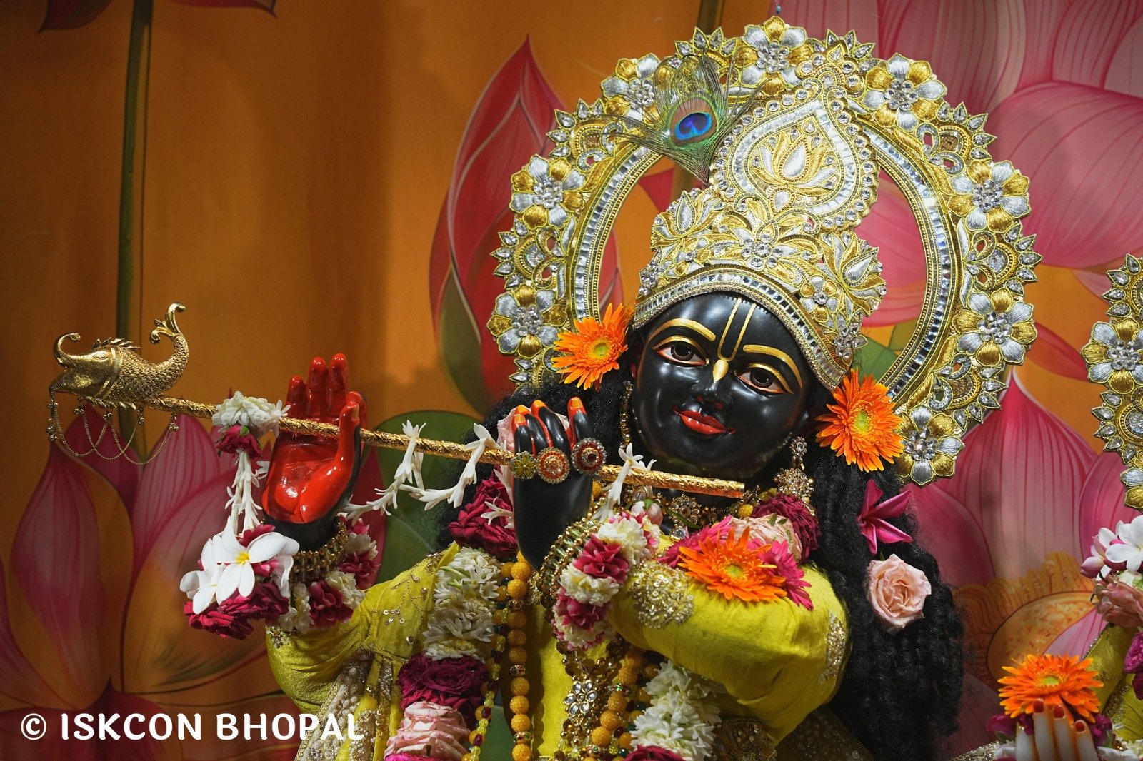 WhatsApp Image 2025-10-10 at 7.52.17 AM (2)