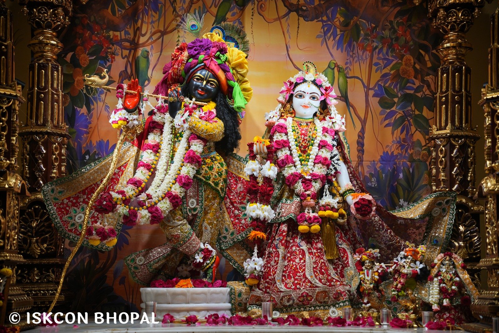 WhatsApp Image 2025-10-12 at 11.27.50 AM