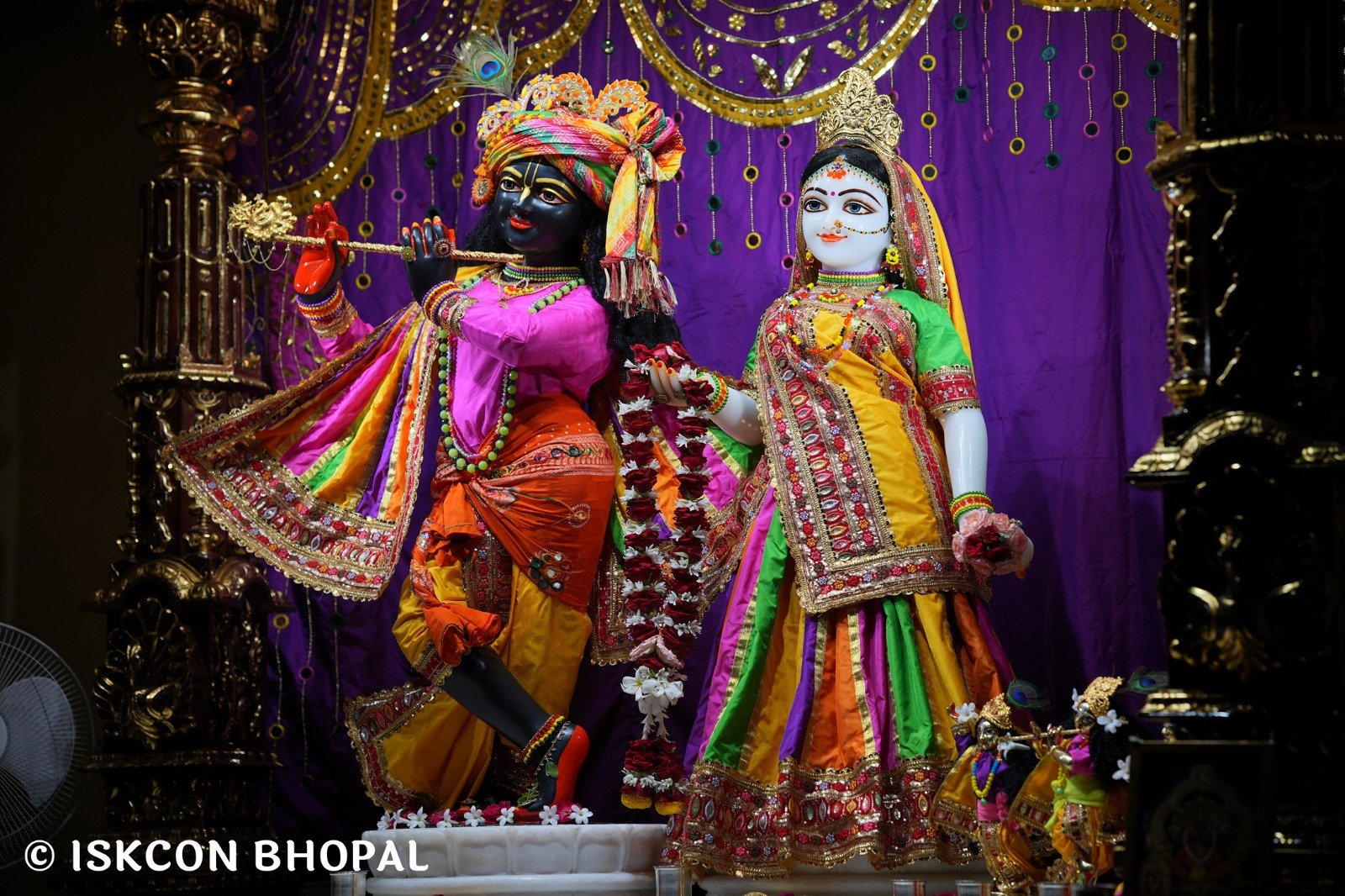 WhatsApp Image 2025-10-12 at 5.50.39 AM (1)