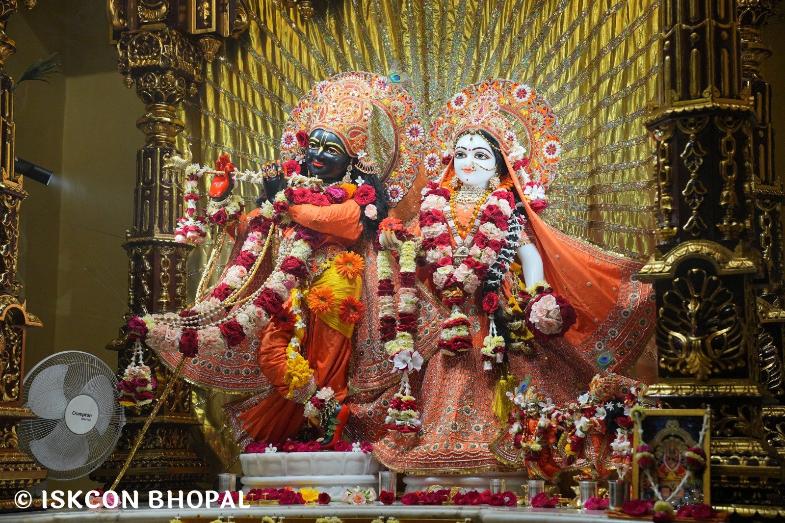WhatsApp Image 2025-10-14 at 8.00.58 AM (1)