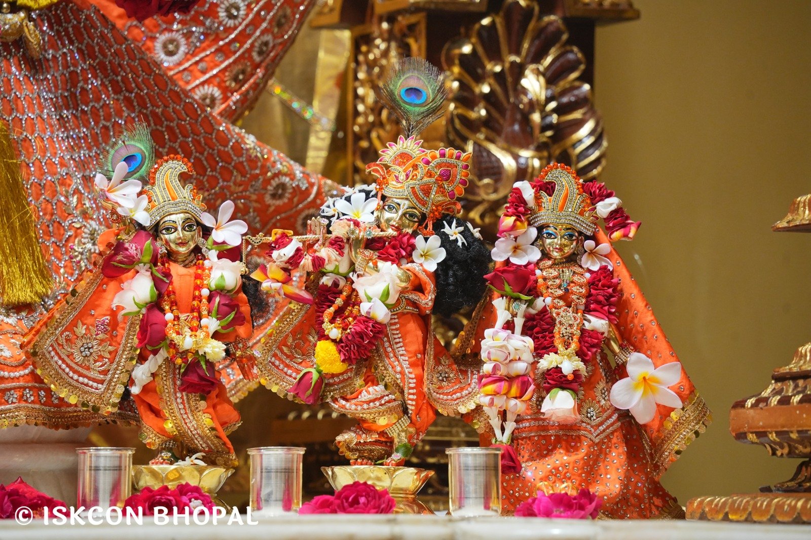 WhatsApp Image 2025-10-14 at 8.00.58 AM (2)