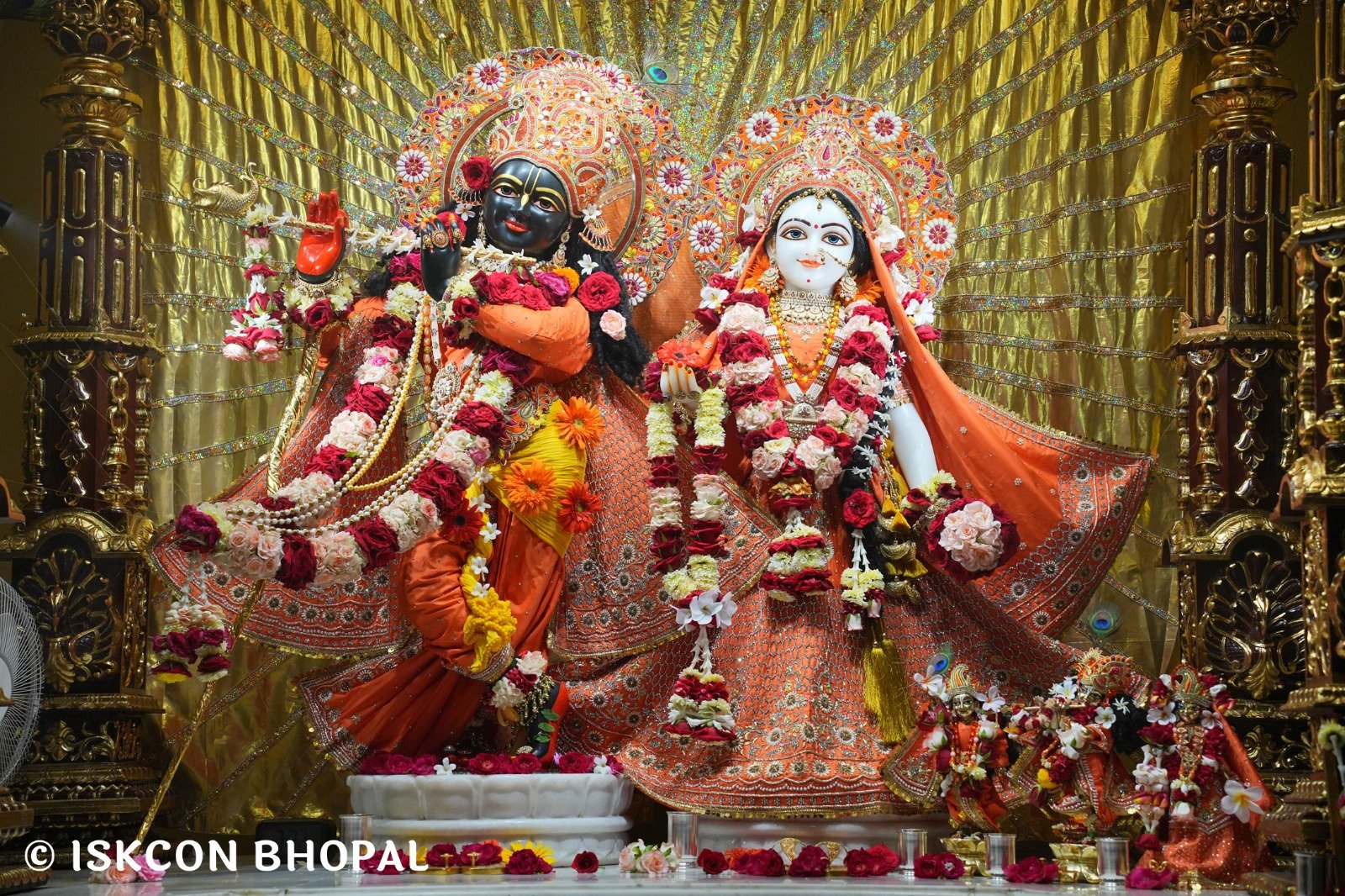 WhatsApp Image 2025-10-14 at 8.00.58 AM (3)