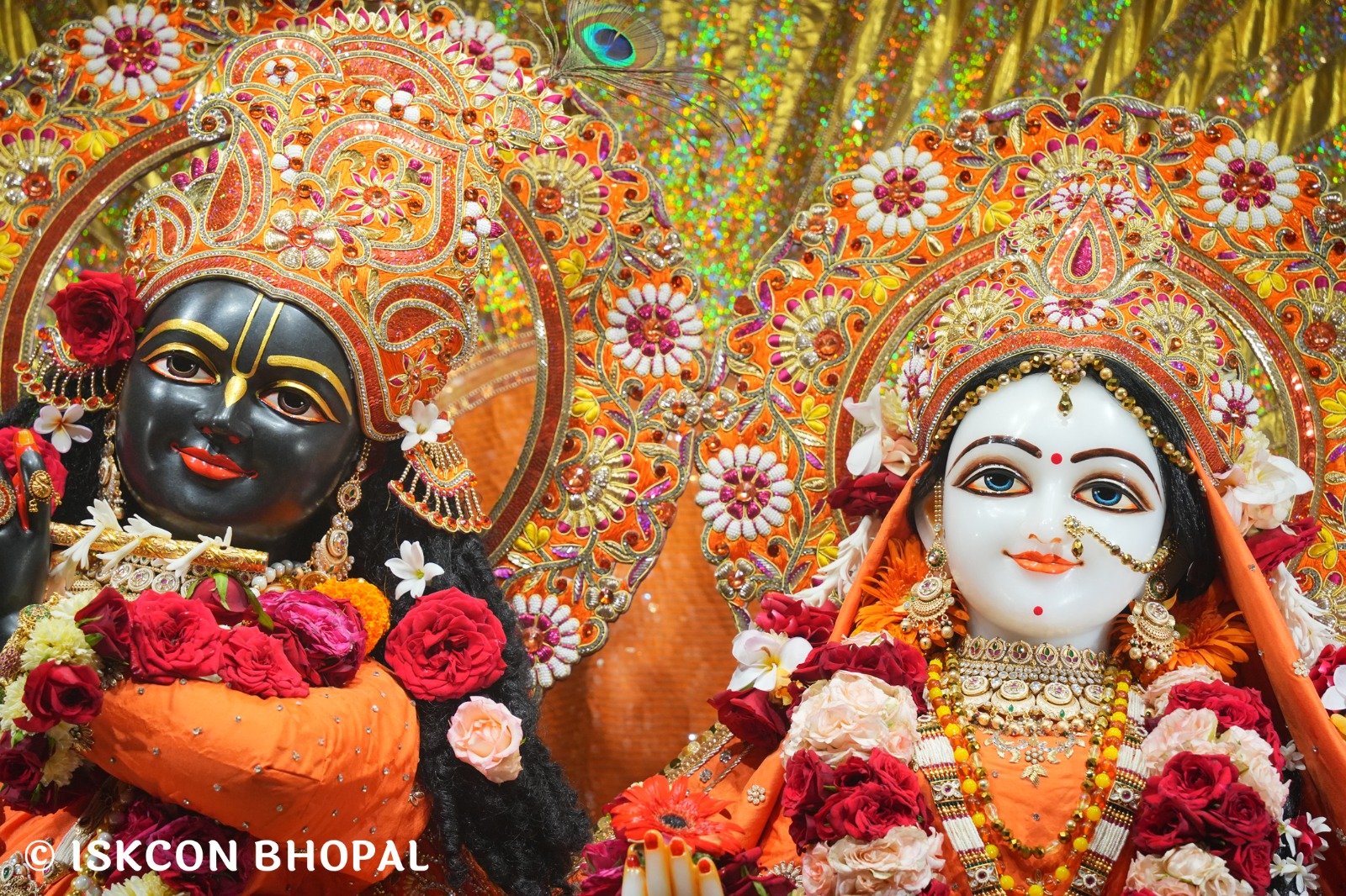WhatsApp Image 2025-10-14 at 8.00.59 AM