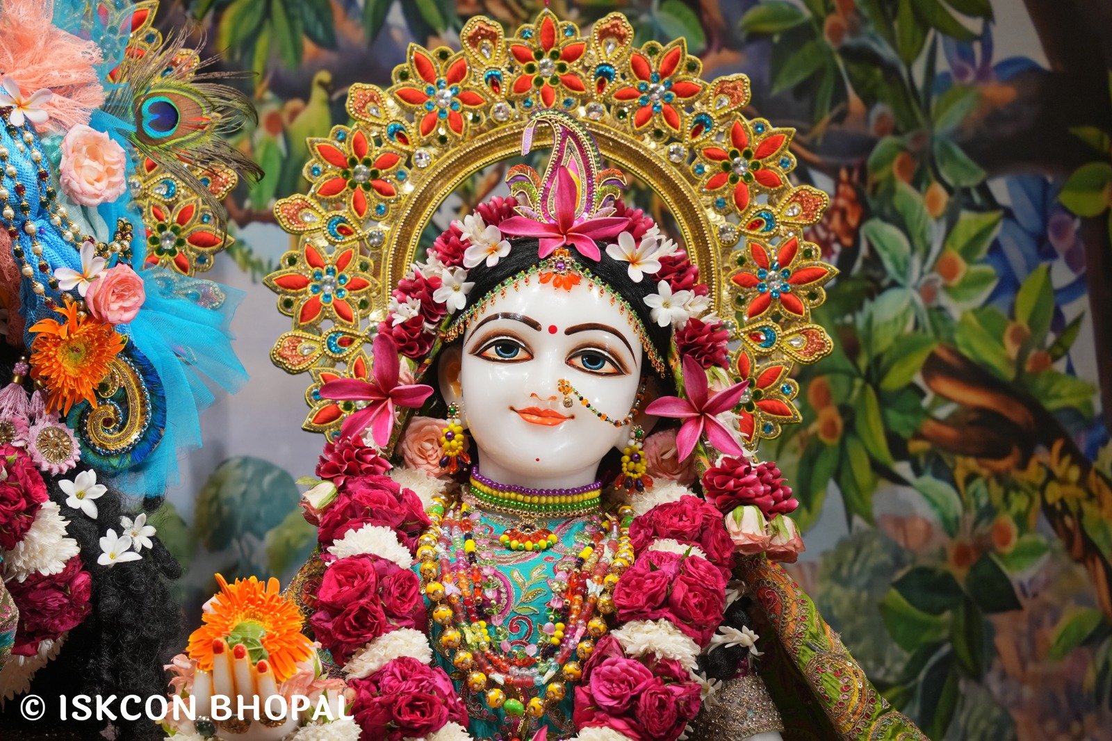 WhatsApp Image 2025-10-20 at 7.45.41 AM (3)