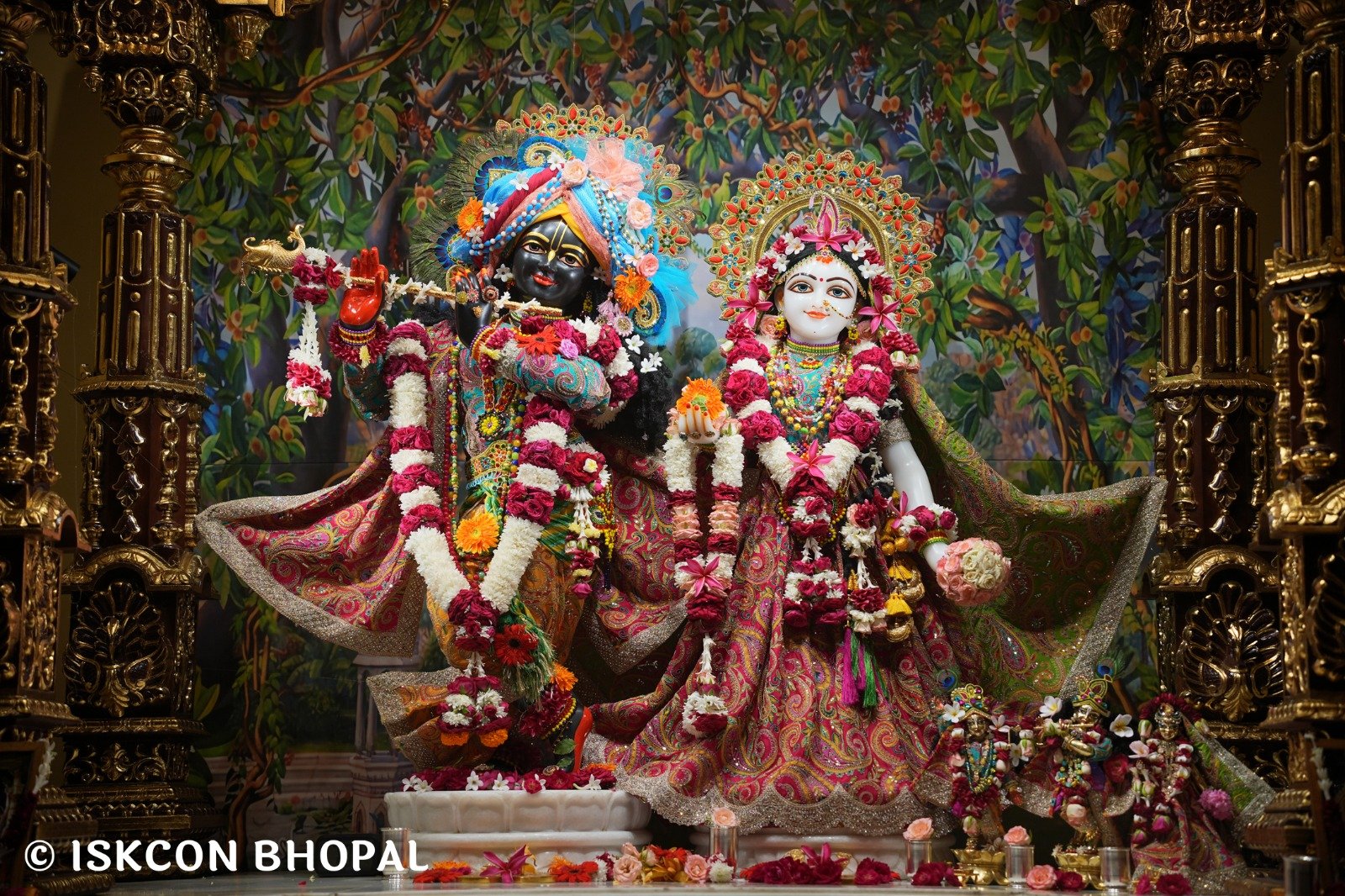 WhatsApp Image 2025-10-20 at 7.45.41 AM