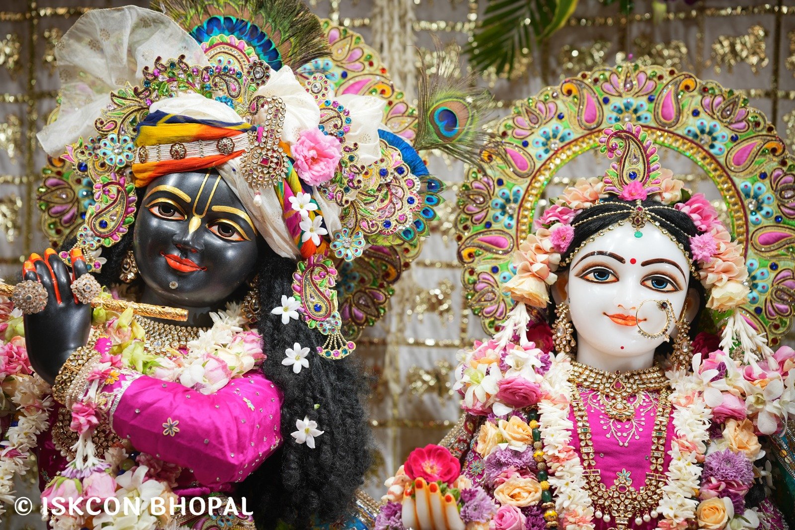WhatsApp Image 2025-10-22 at 10.36.12 AM (2)