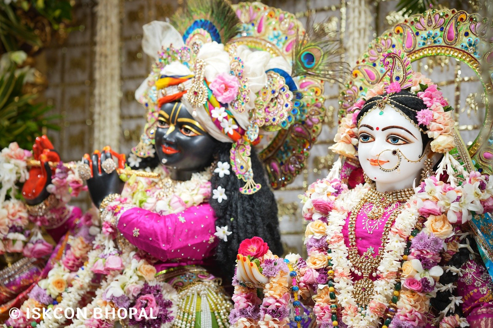 WhatsApp Image 2025-10-22 at 10.36.12 AM (3)