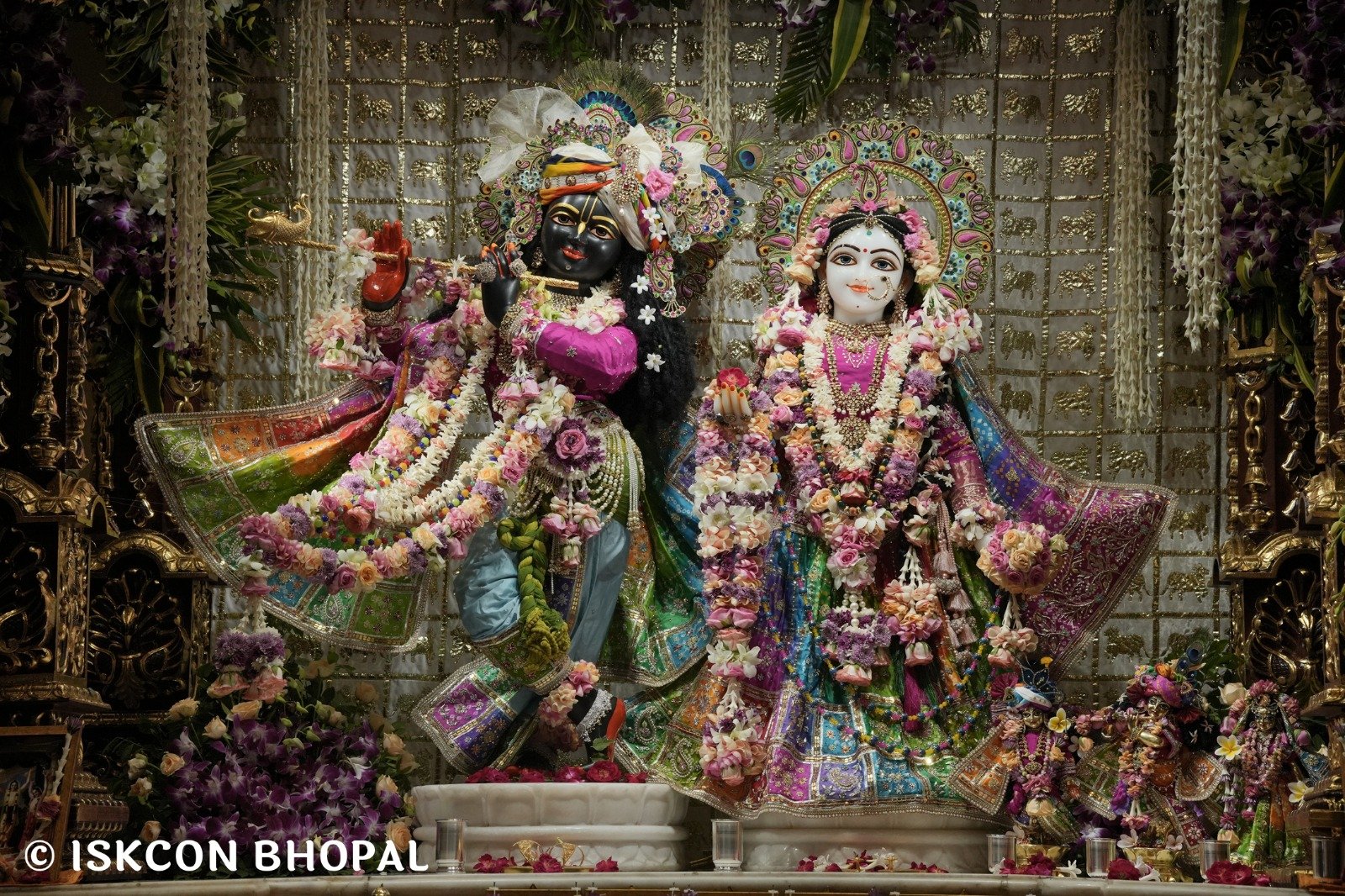 WhatsApp Image 2025-10-22 at 10.38.22 AM