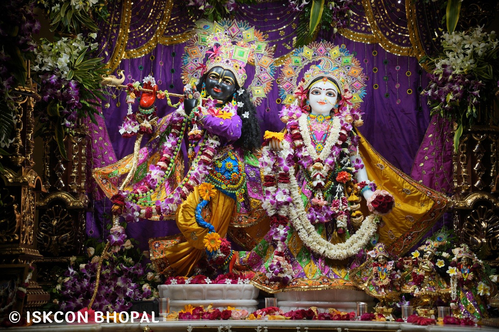 WhatsApp Image 2025-10-23 at 10.18.11 AM (1)