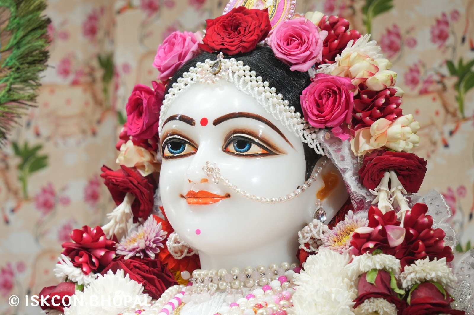 IMG-20251123-WA0030(1)