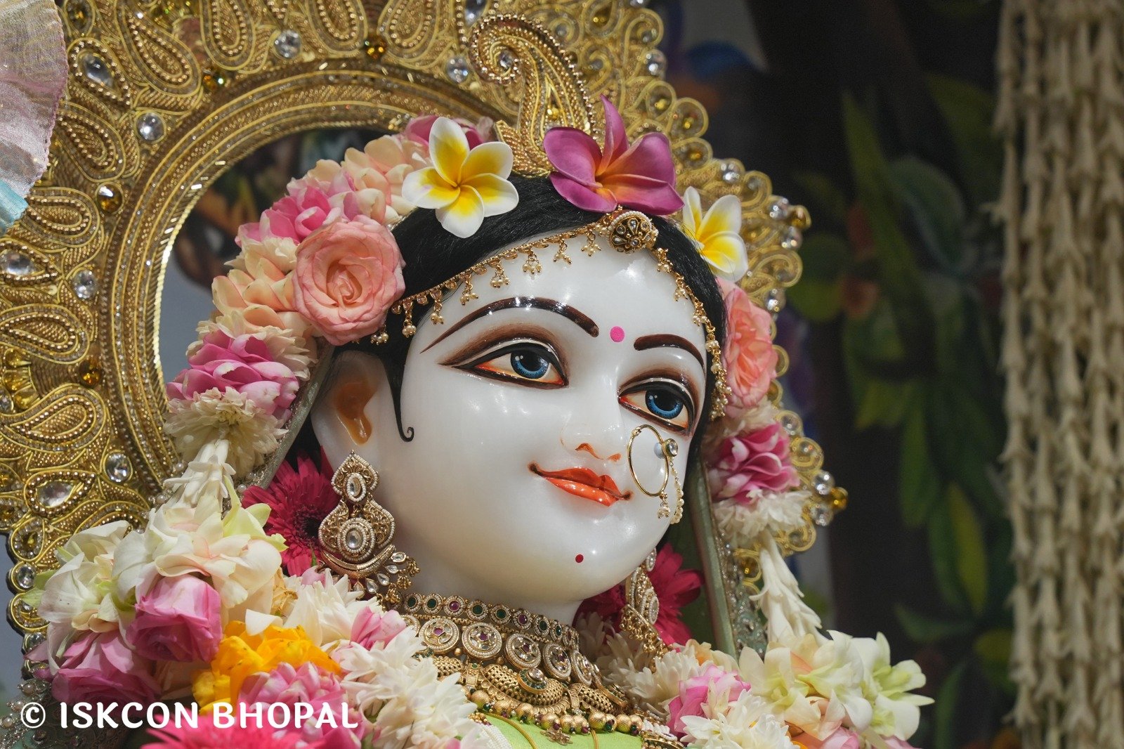 WhatsApp Image 2025-10-25 at 4.19.50 PM (1)