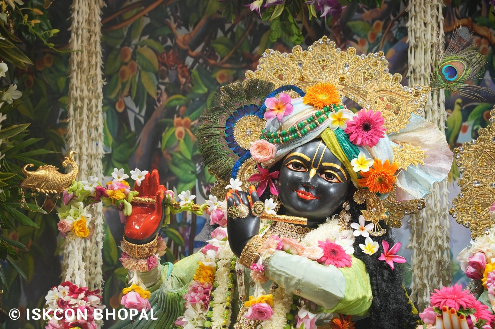 WhatsApp Image 2025-10-25 at 4.19.51 PM (4)