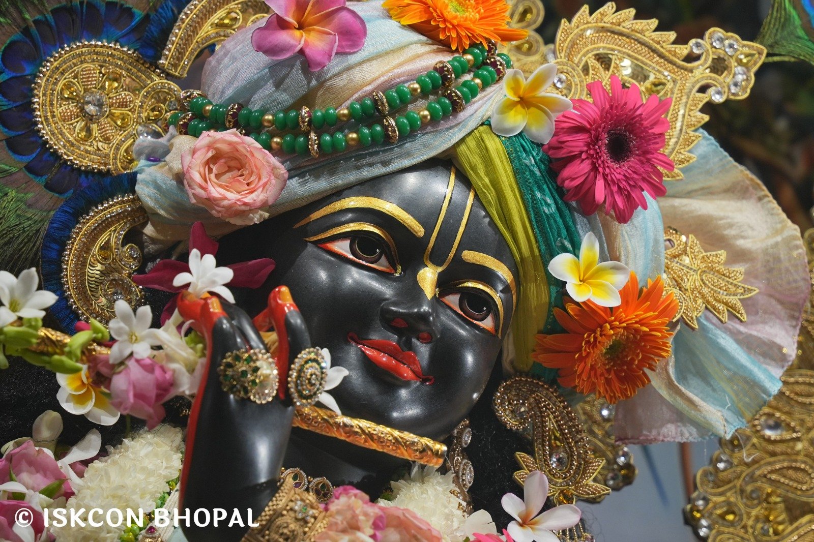 WhatsApp Image 2025-10-25 at 4.19.51 PM