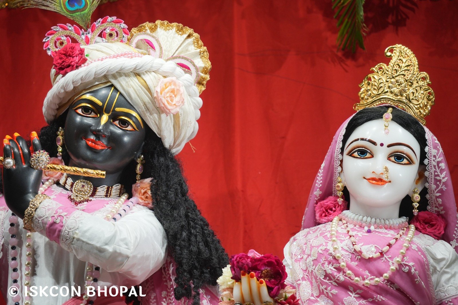 WhatsApp Image 2025-10-25 at 7.09.31 AM (1)