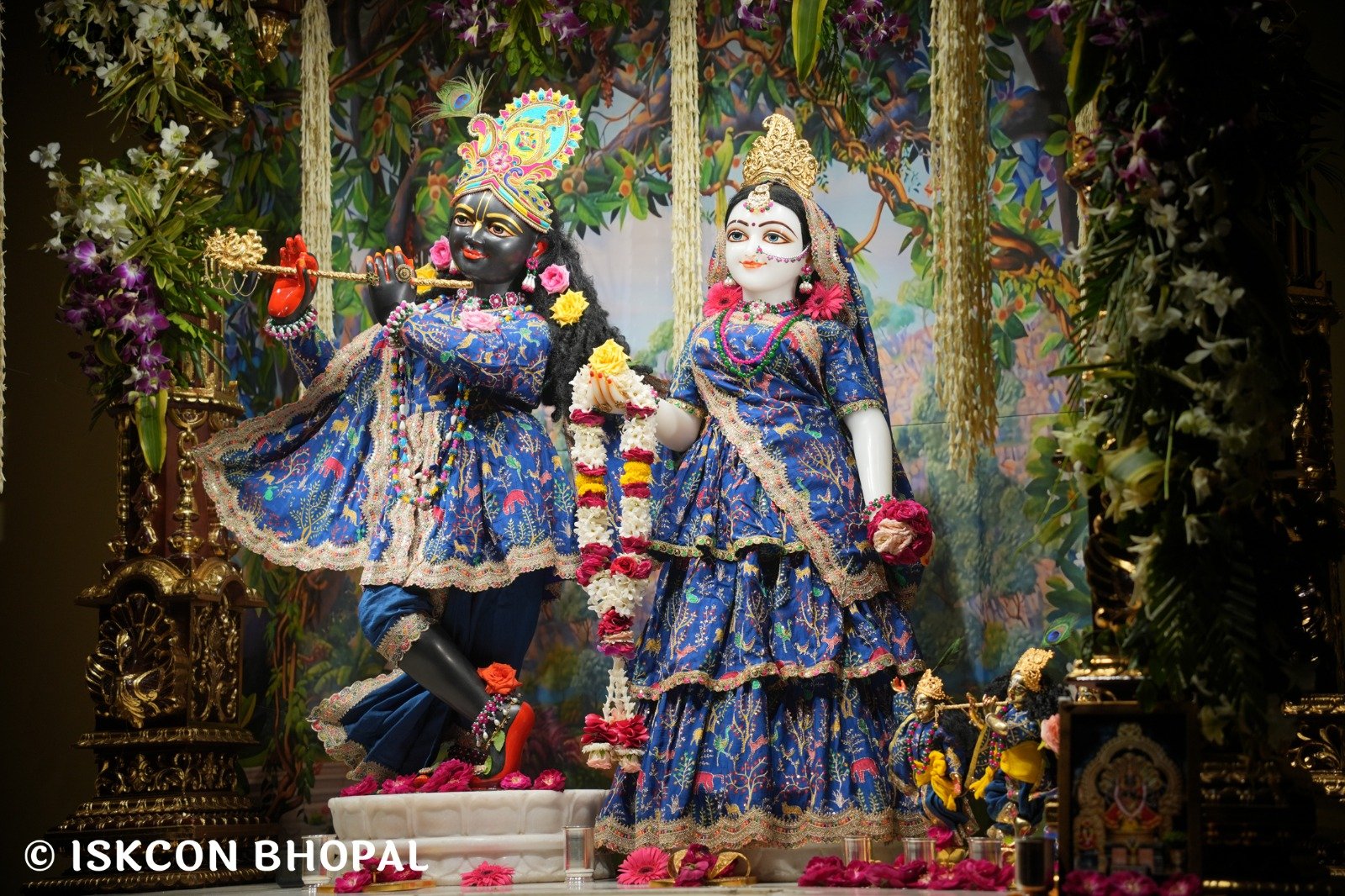 WhatsApp Image 2025-10-26 at 11.29.13 AM (1)