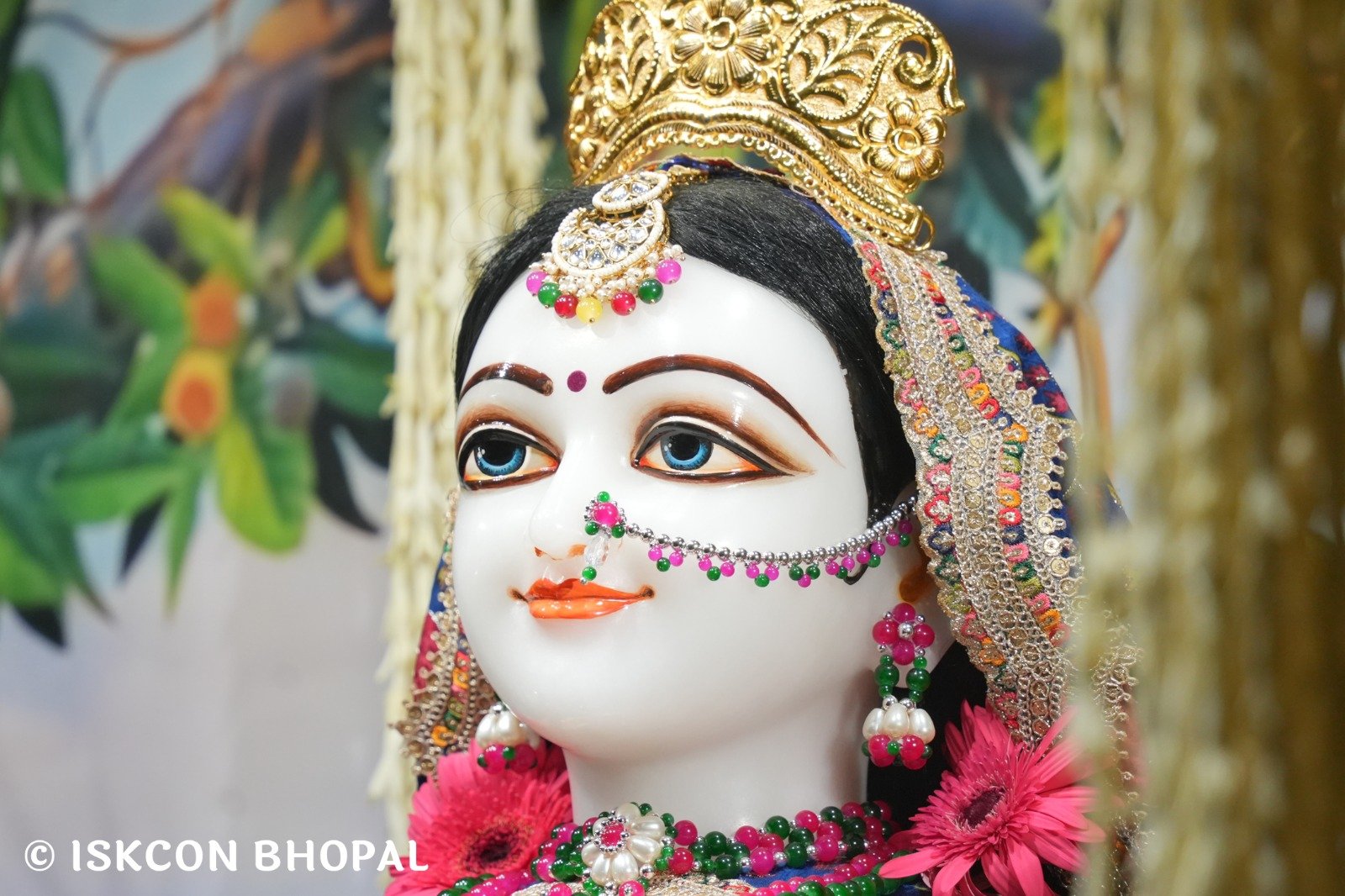 WhatsApp Image 2025-10-26 at 11.29.13 AM