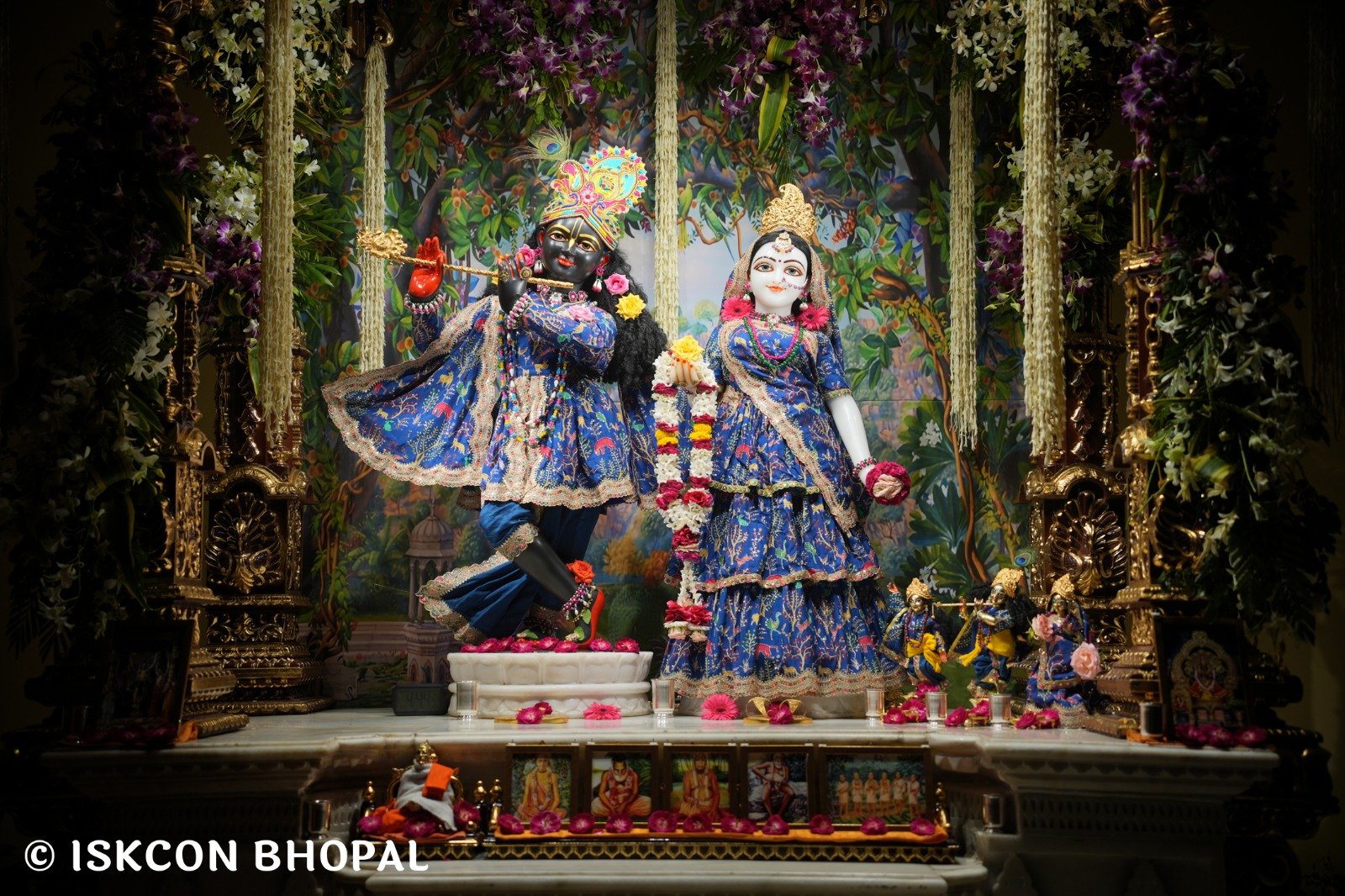 WhatsApp Image 2025-10-26 at 11.29.14 AM (2)