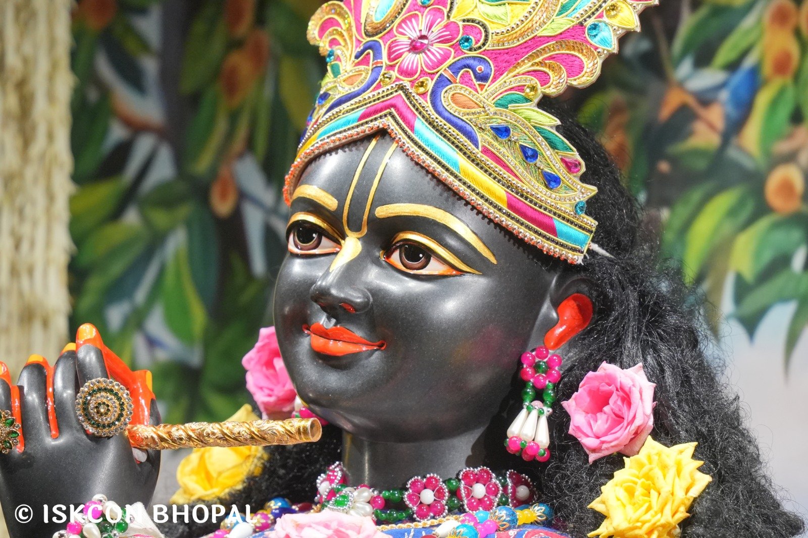 WhatsApp Image 2025-10-26 at 11.29.14 AM